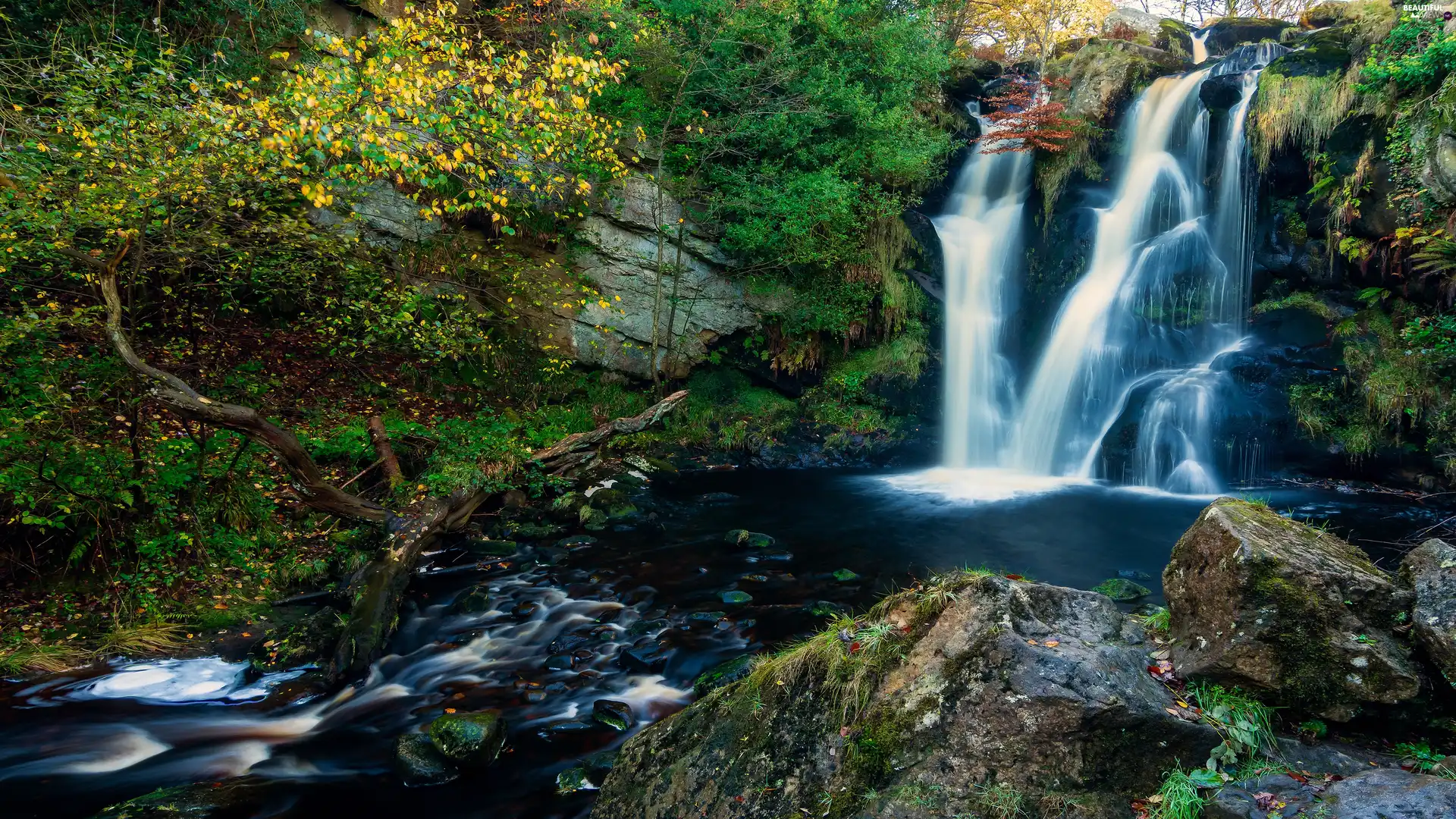 rocks, Stones, River, waterfall, forest