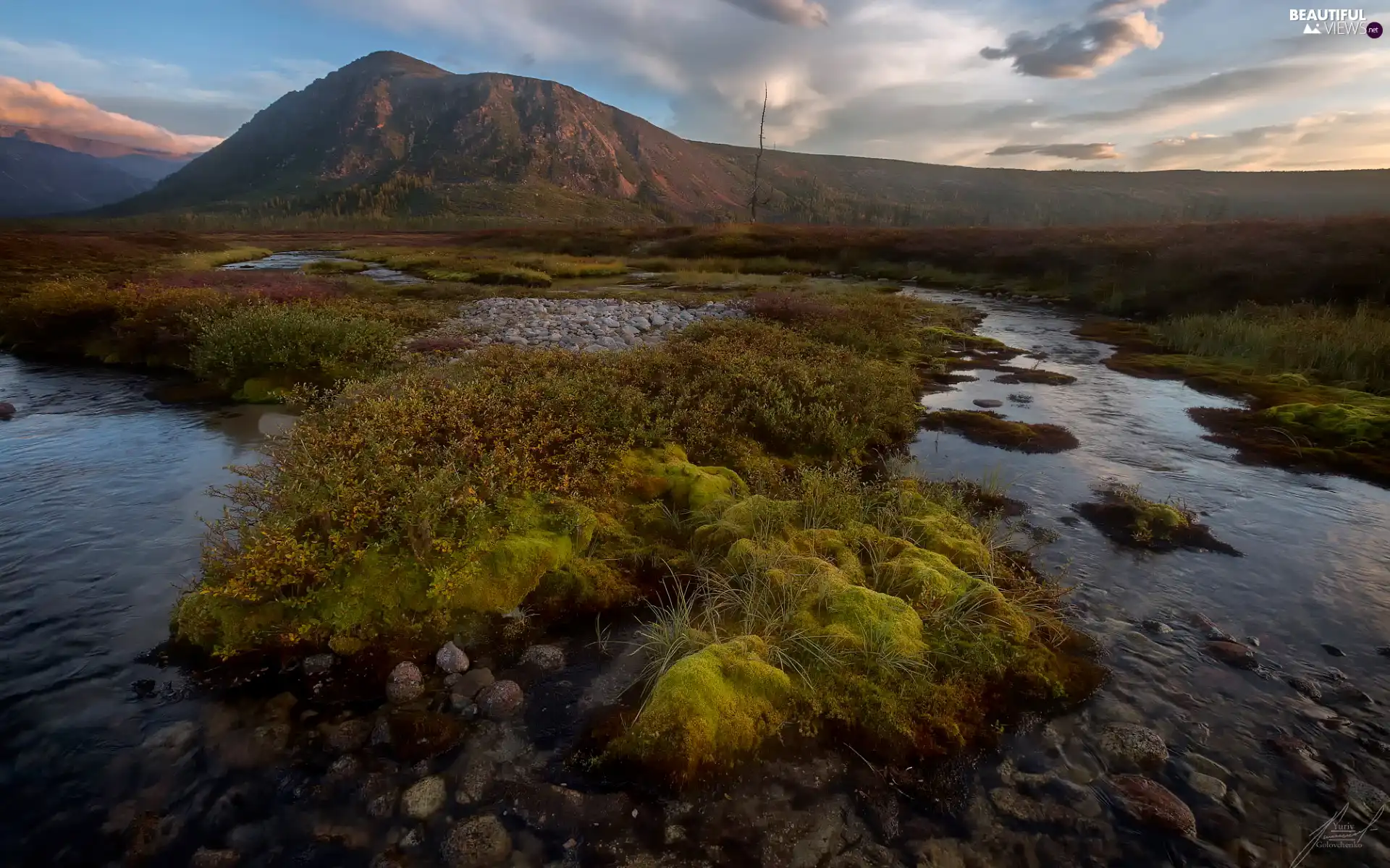 Plants, Mountains, grass, Stones, mosses, River