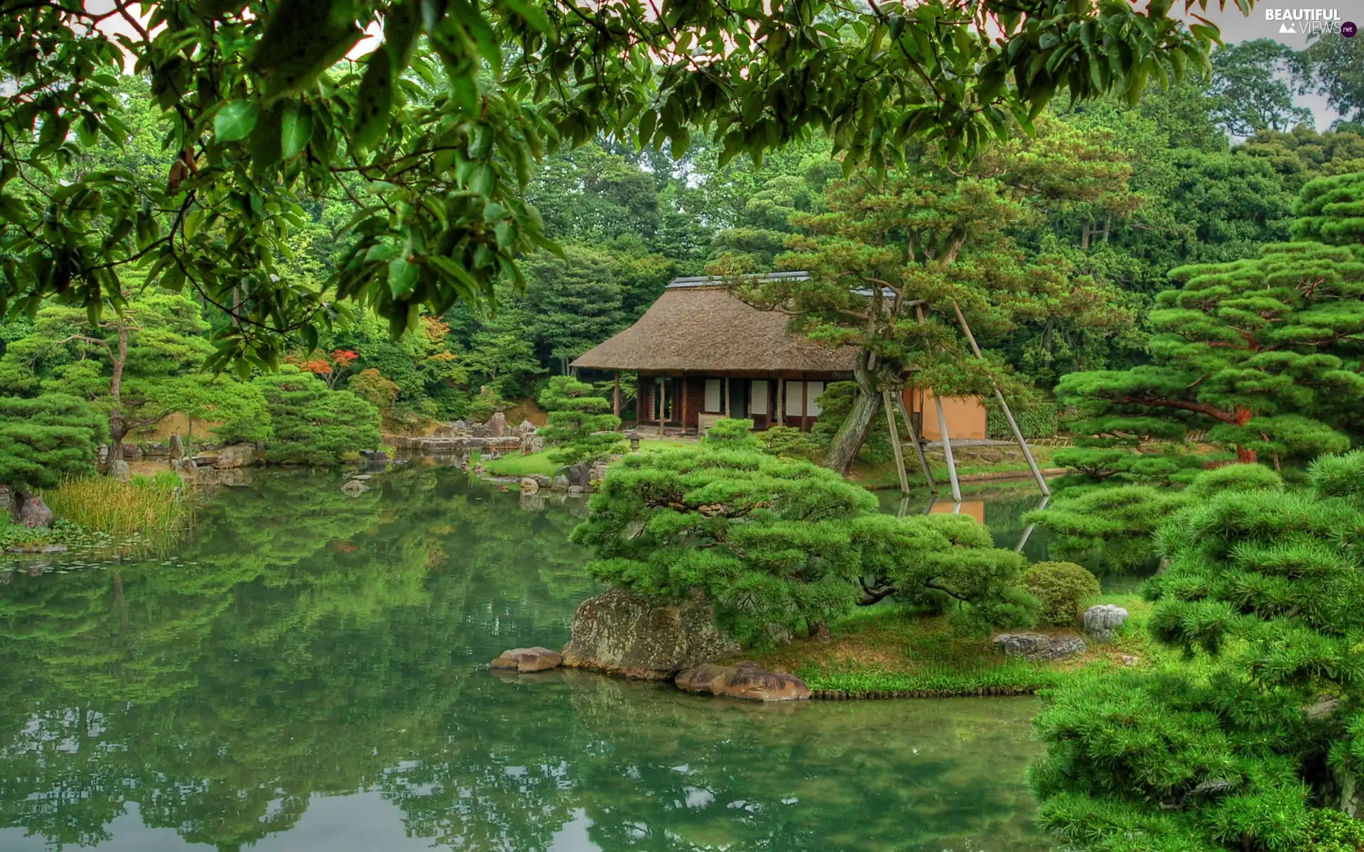 River, house, Stones, forest