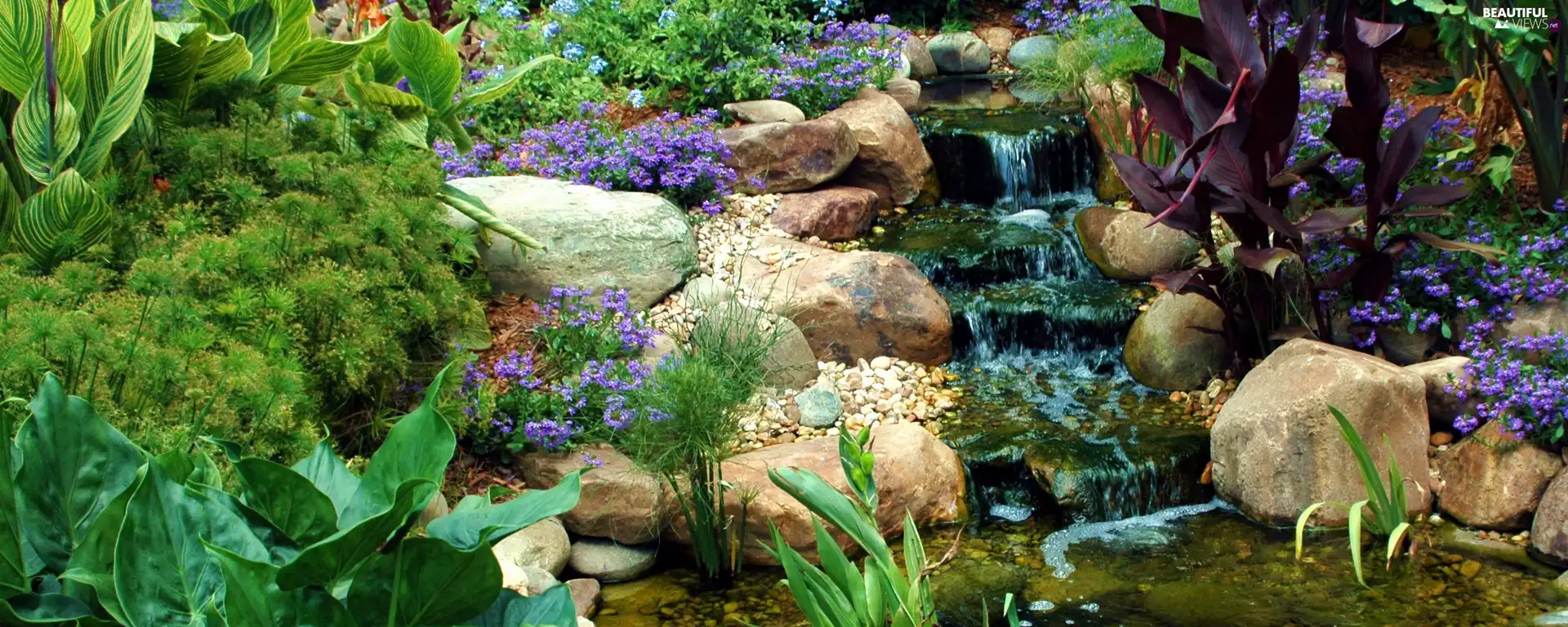 rock, Plants, Stones, stream