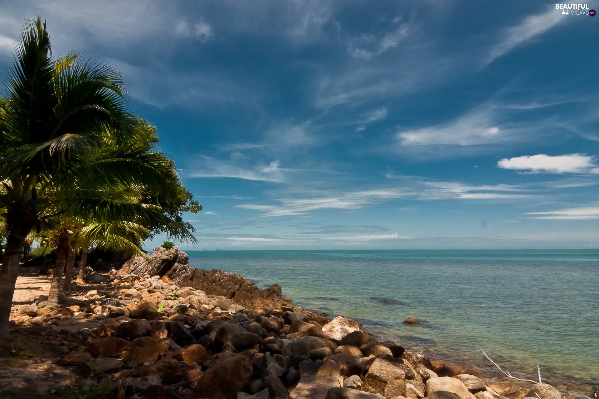 sea, Palms, Stones, Waves