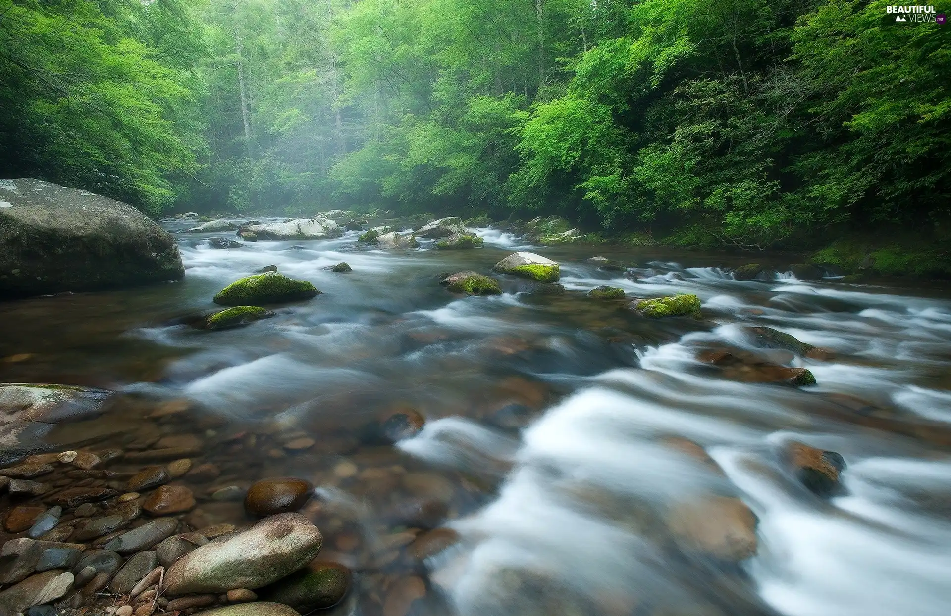 Tennessee State, The United States, forest, Stones, viewes, Great Smoky Mountains National Park, Little River, trees