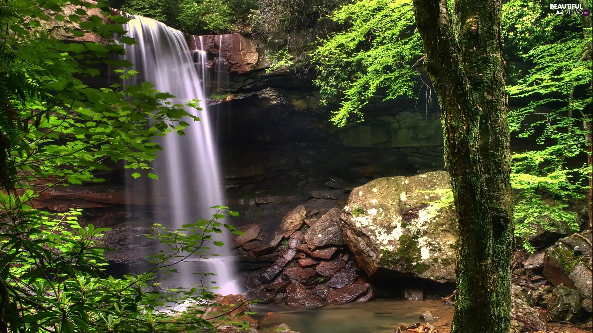 trees, cascade, Stones, viewes