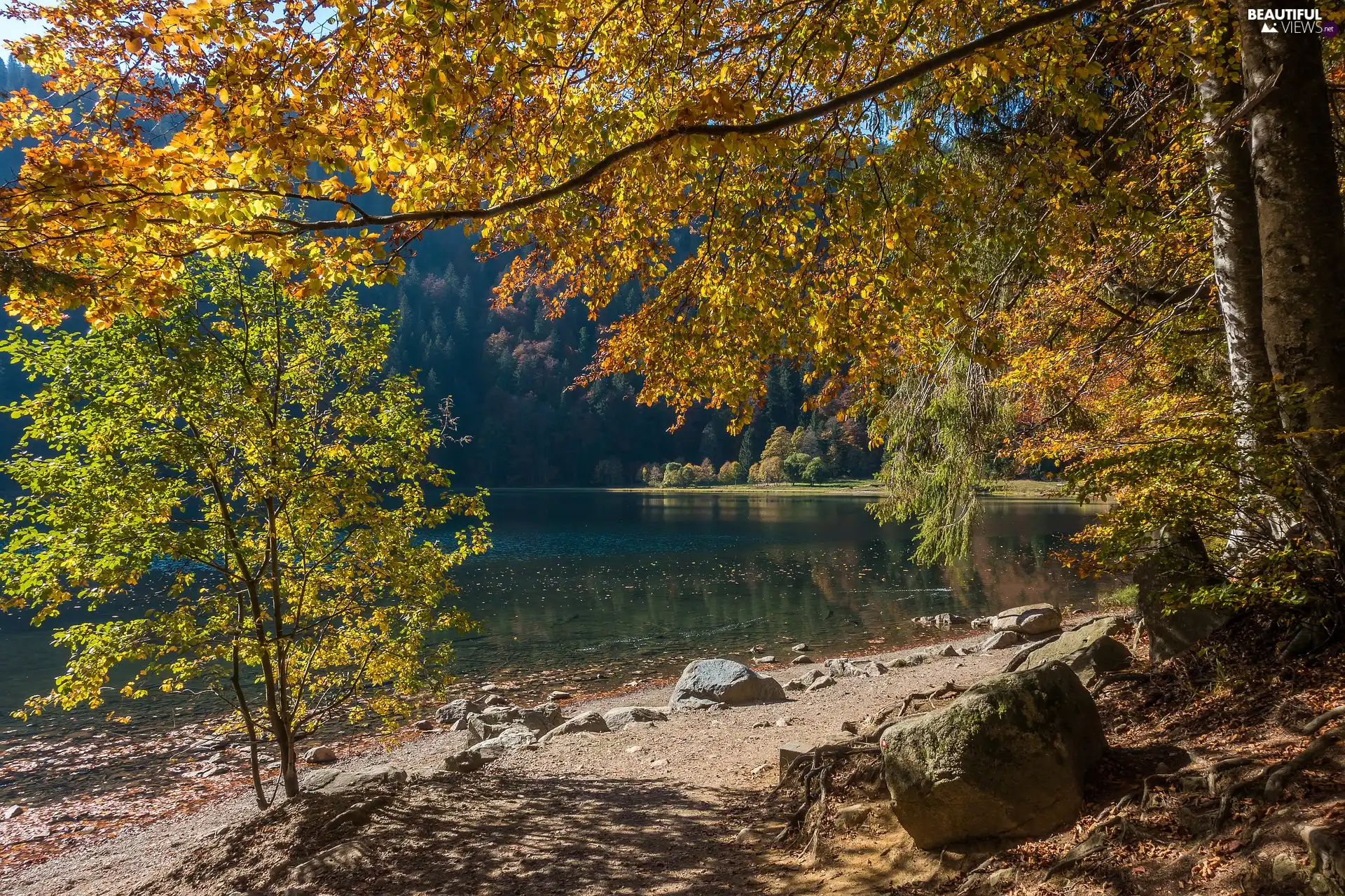 viewes, autumn, lake, Stones, forest, trees