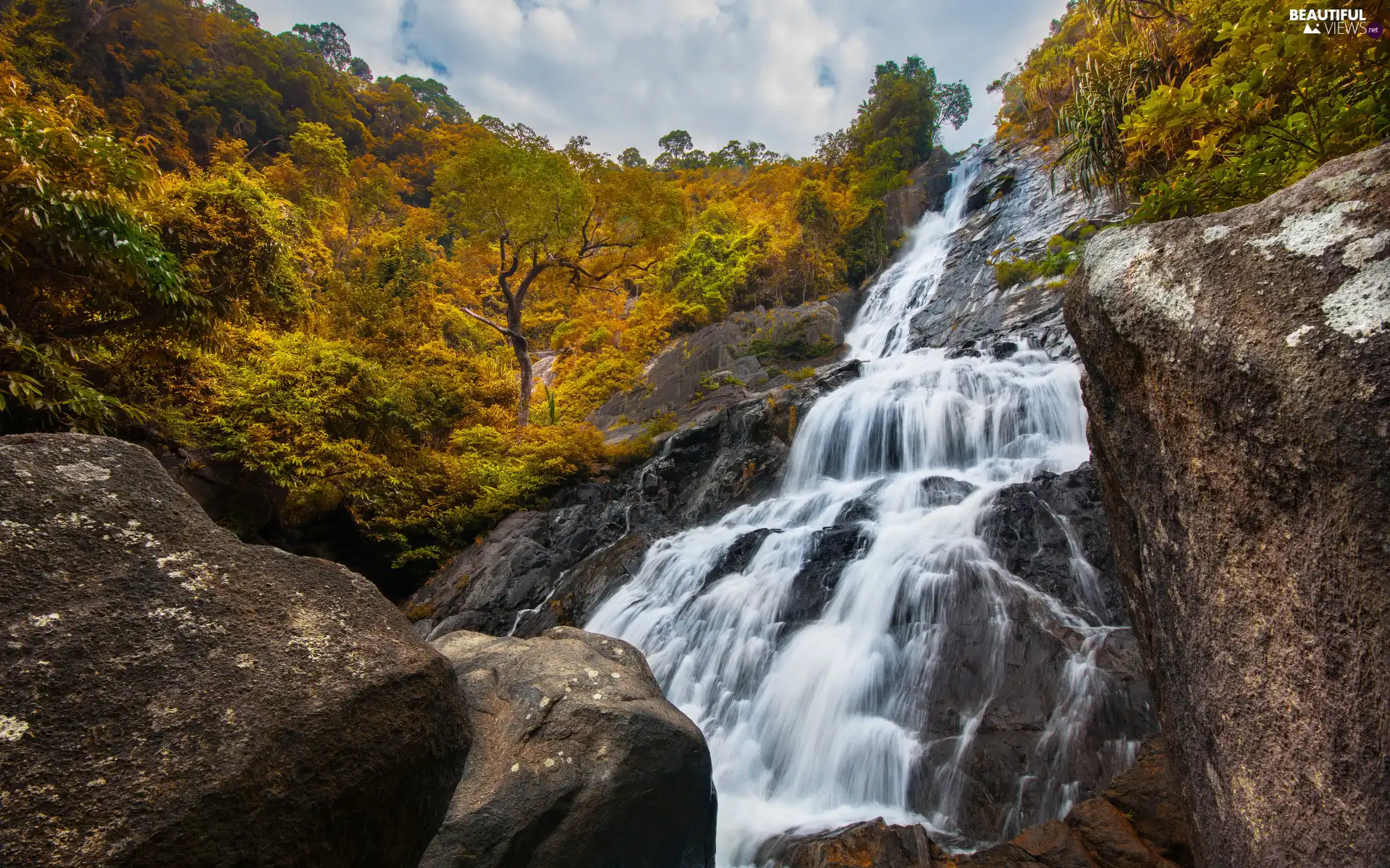 Yellowed, Rocks, viewes, Stones, waterfall, trees, autumn