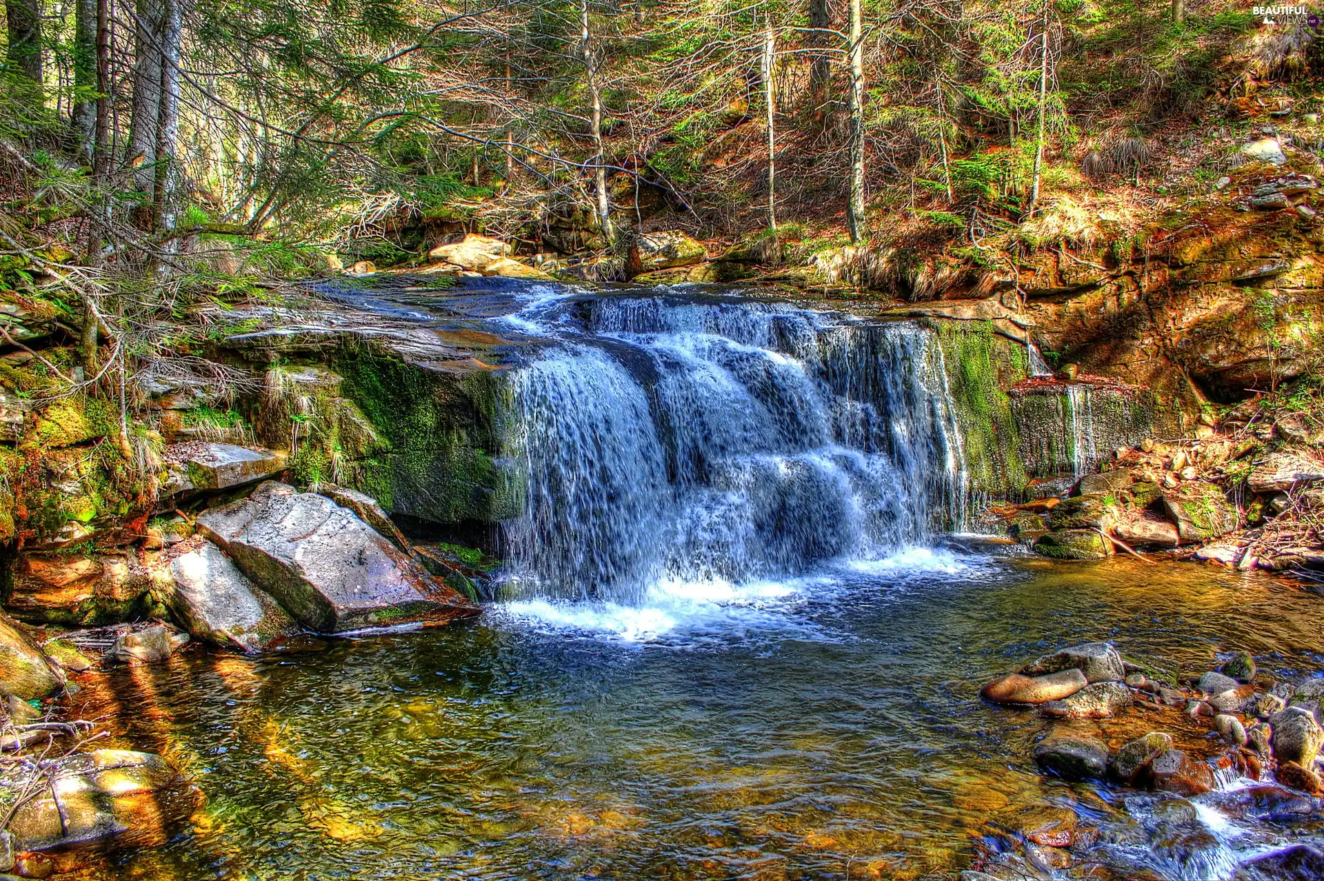 Stones, forest, waterfall