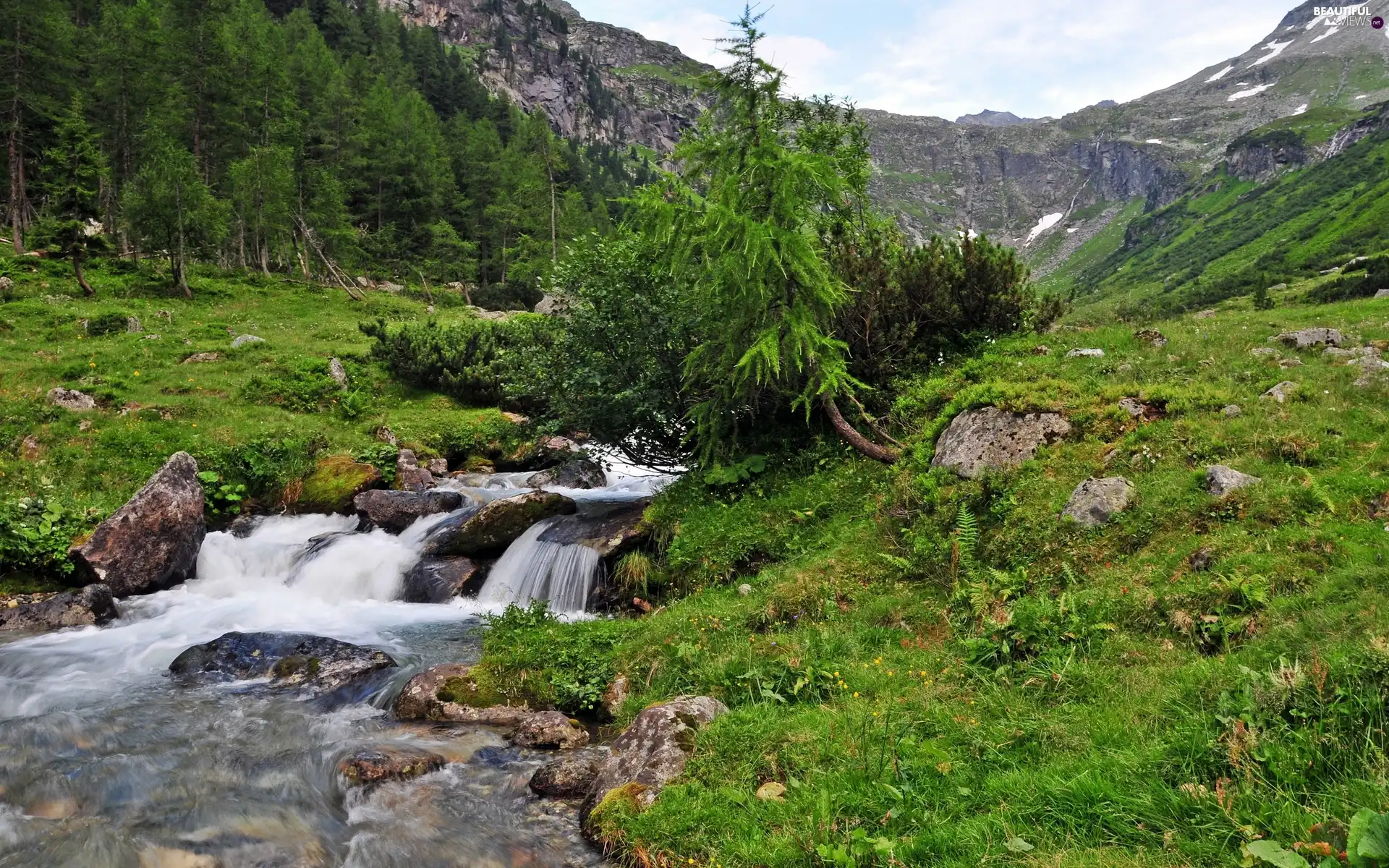 Stones, woods, mountainous, rocks, stream