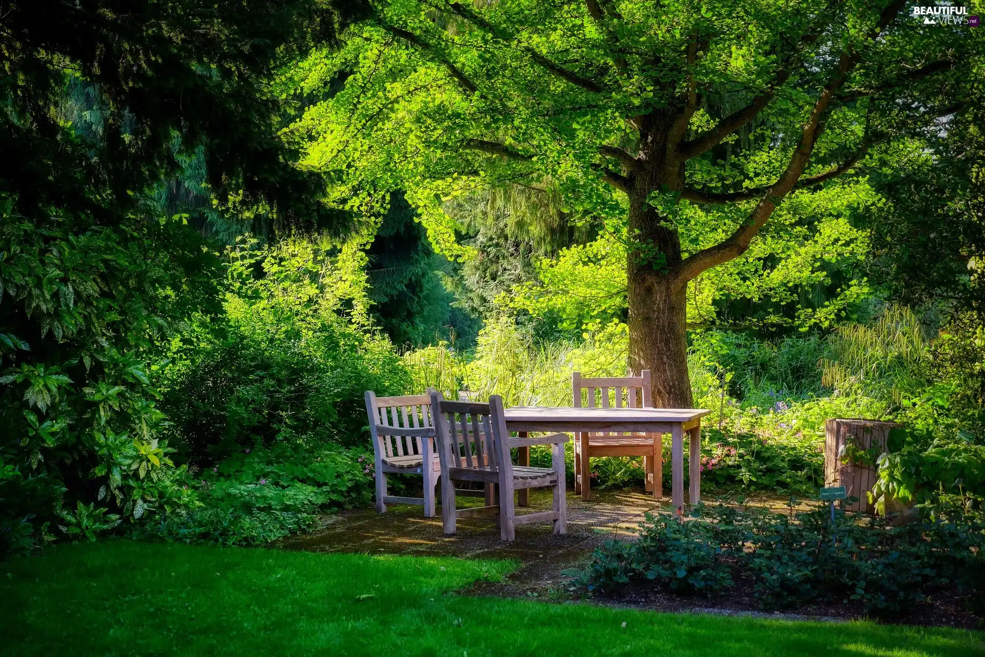 Table, Stool, trees, viewes, Garden