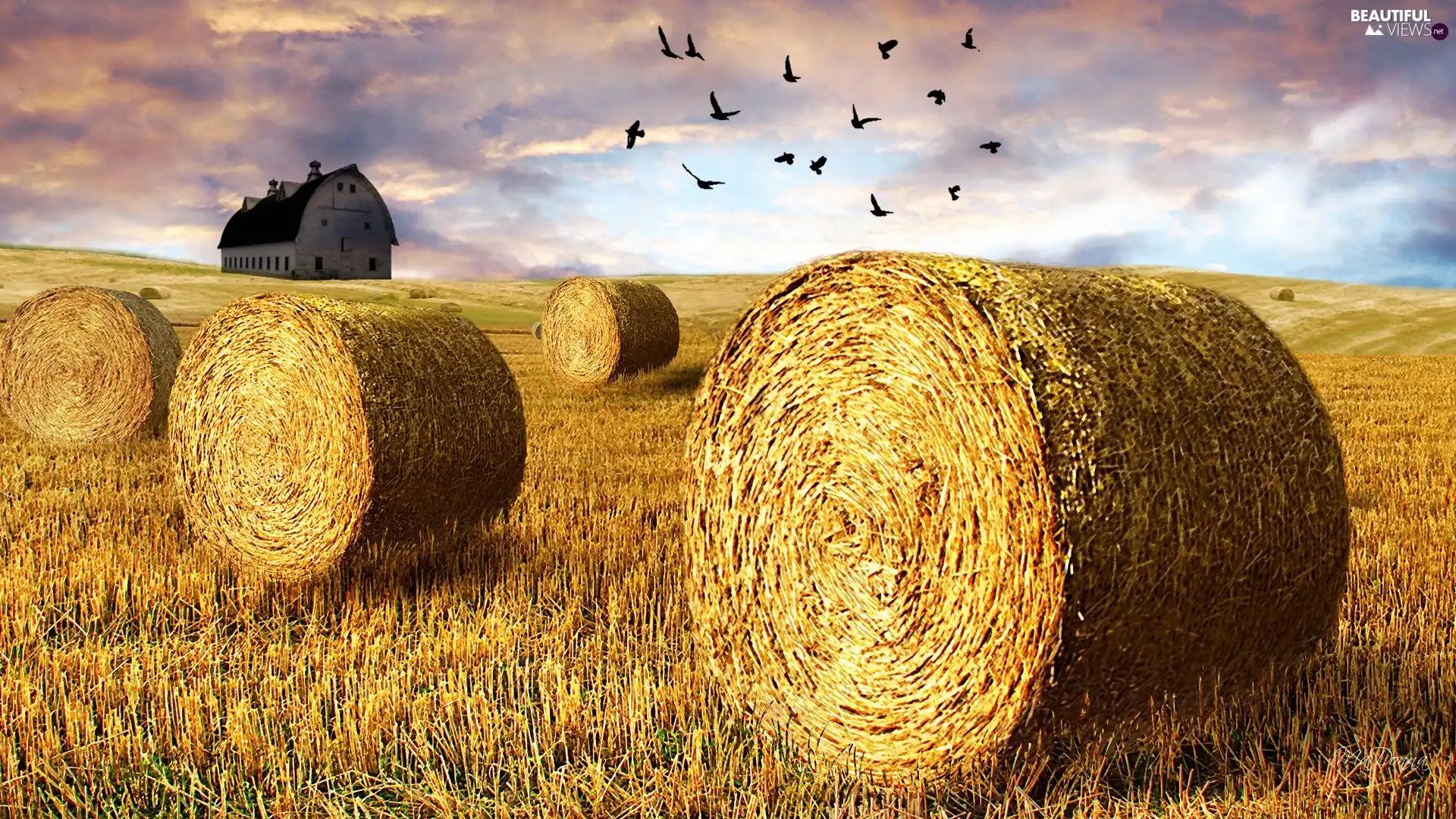 straw, clouds, Field