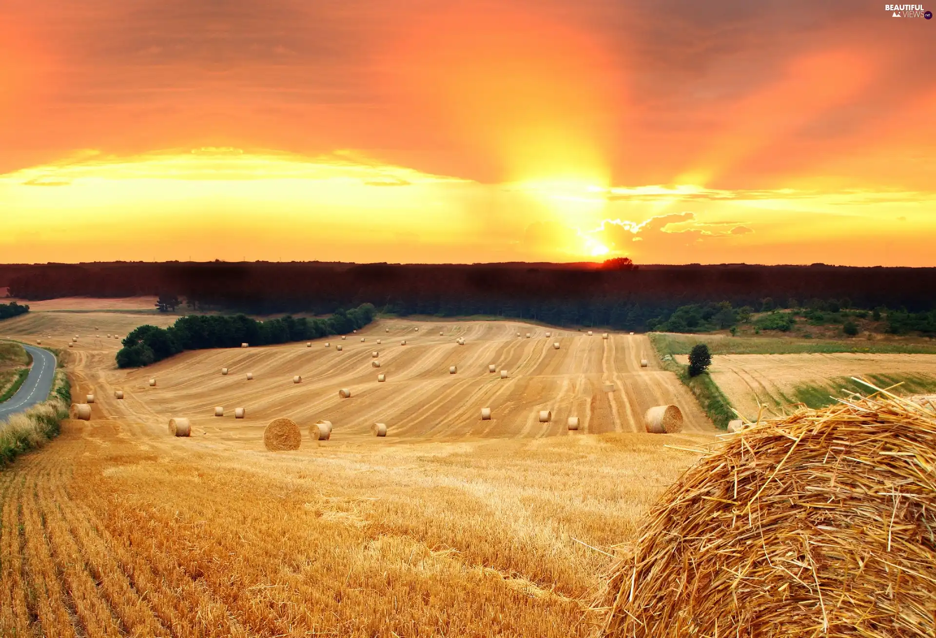 straw, Way, sun, field, west