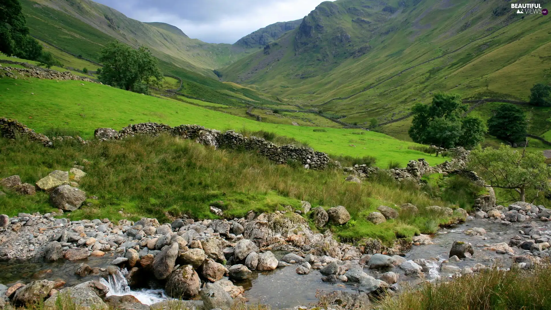 stream, Meadow, Mountains