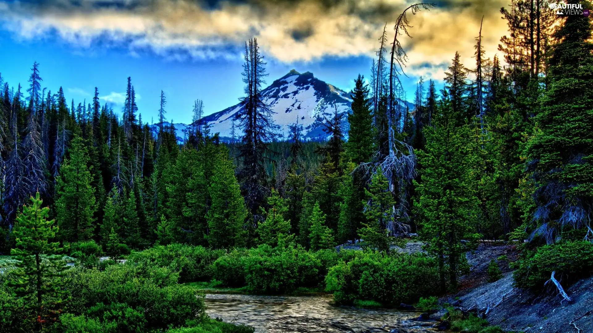 Mountains, stream, stream, forest