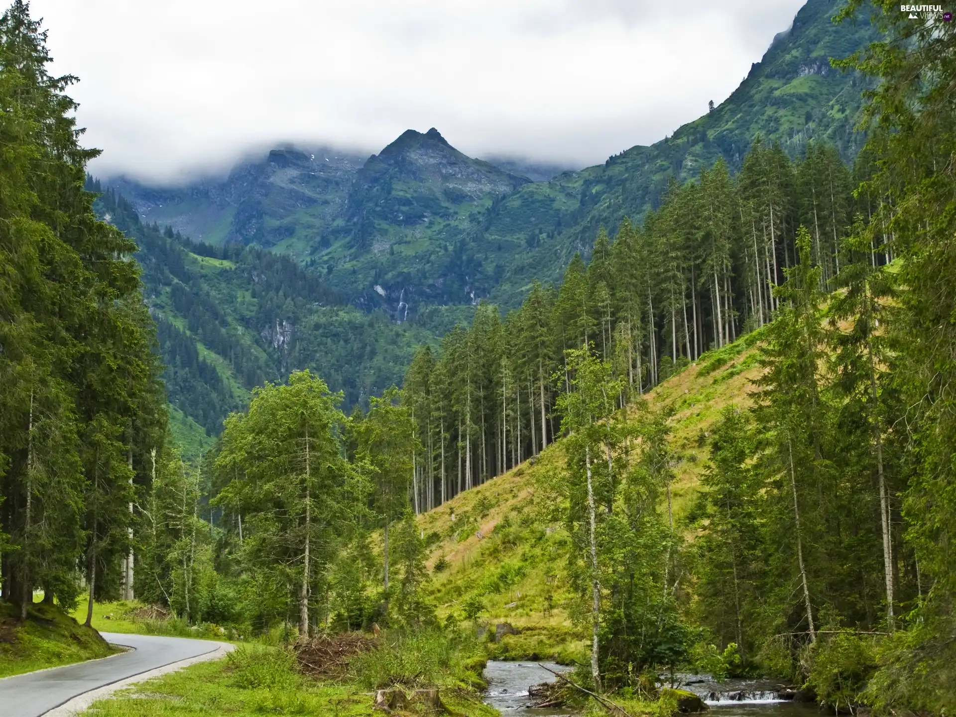 Mountains, Way, stream, woods