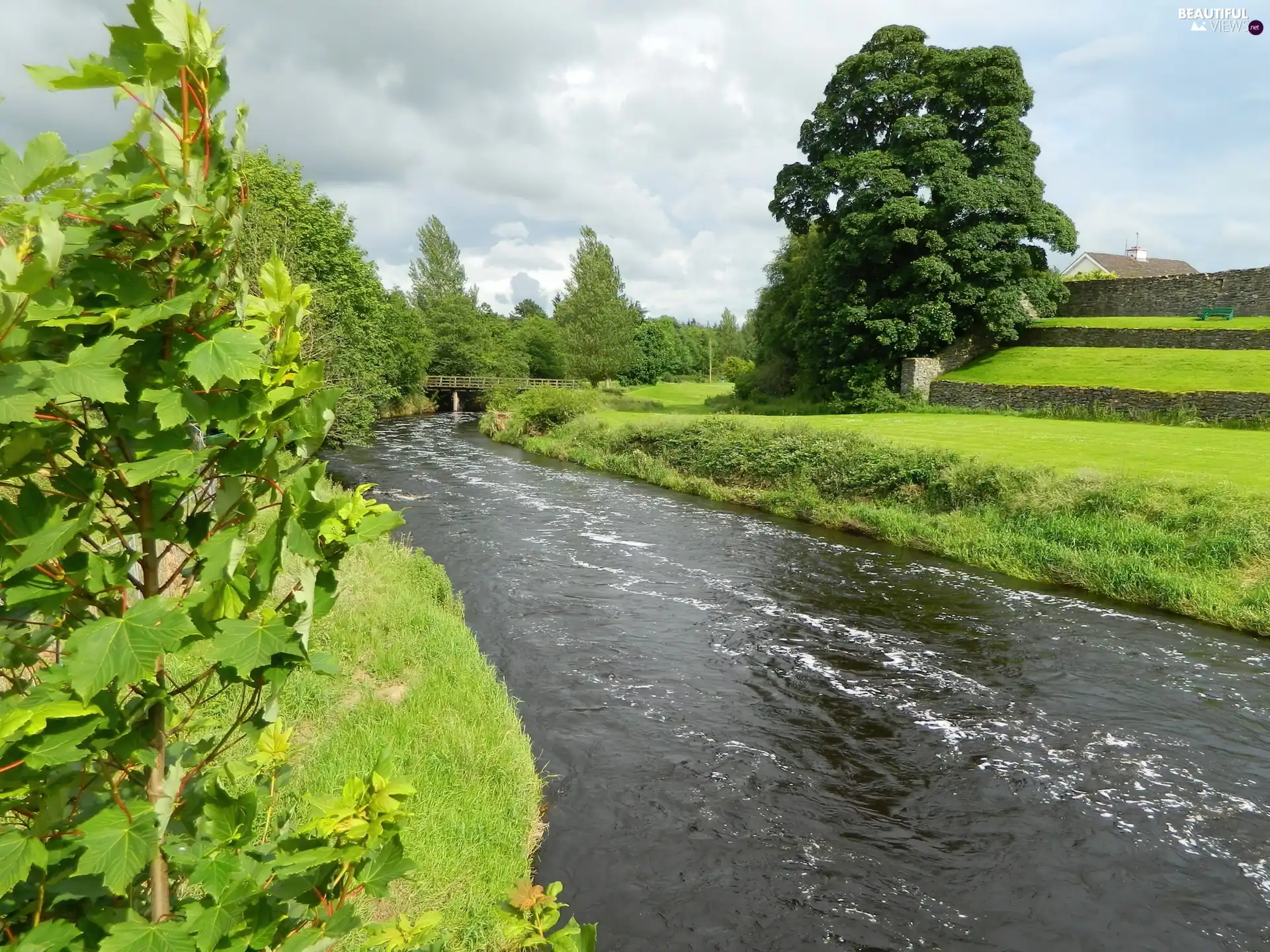 River, viewes, summer, trees