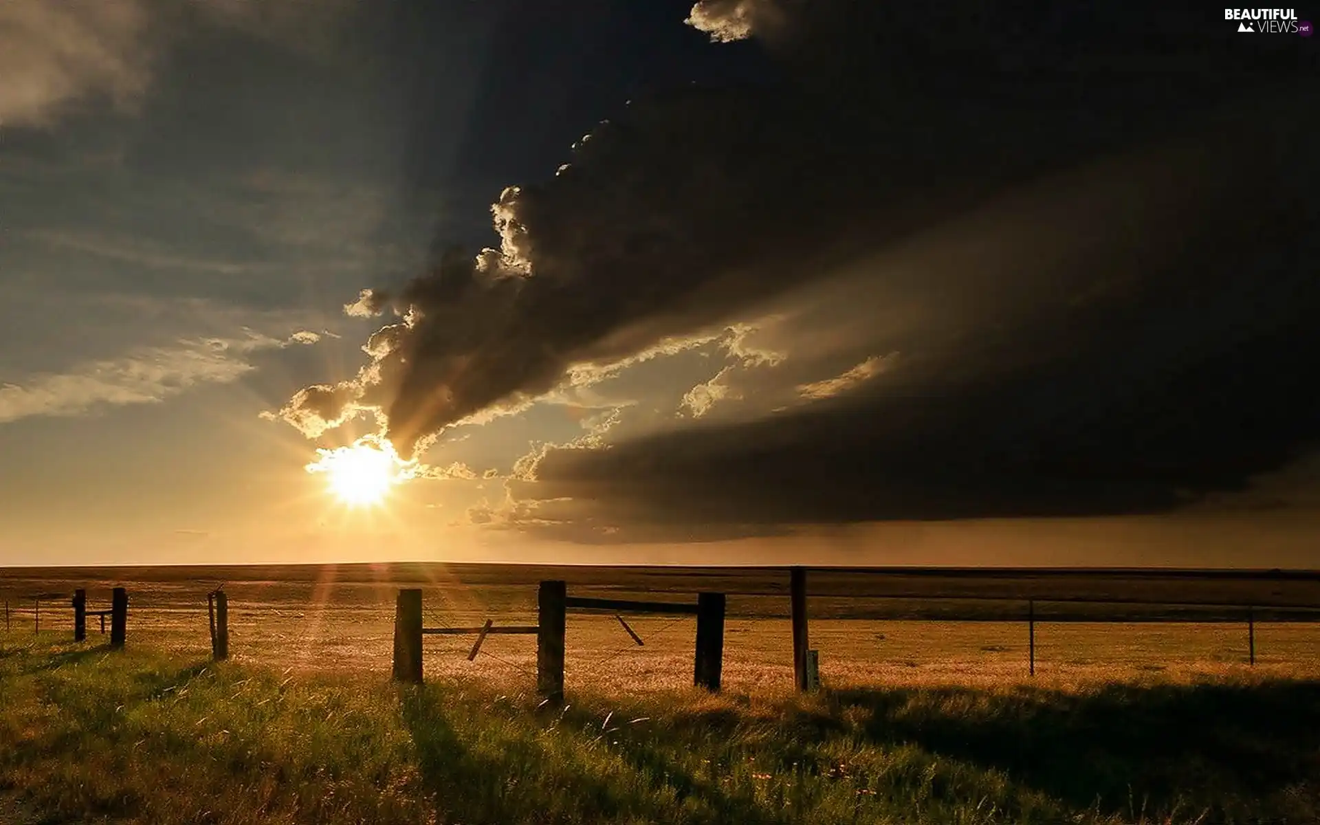 field, rays, sun, clouds