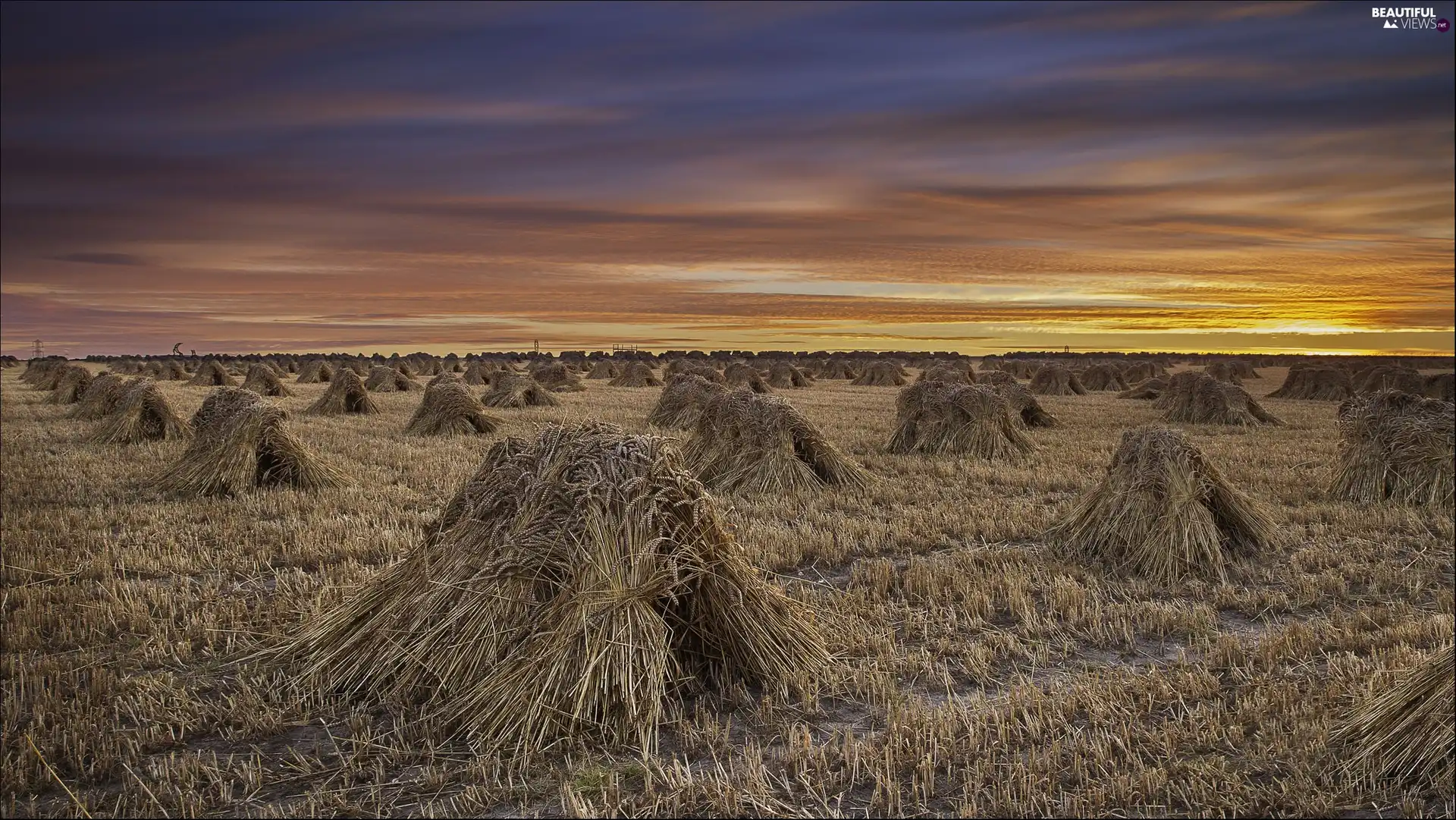 Field, west, sun, Sheaves