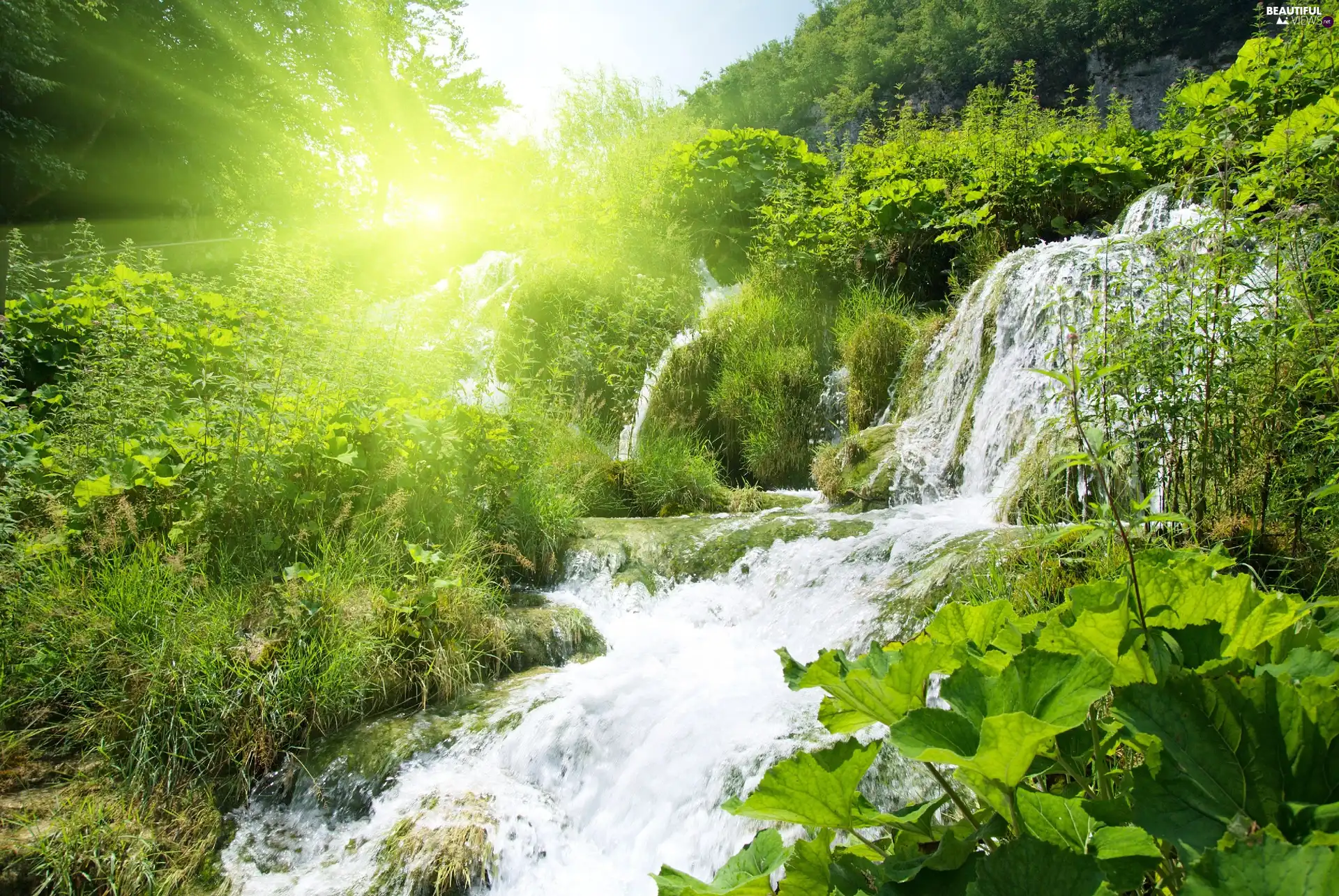 forest, rays, sun, waterfall