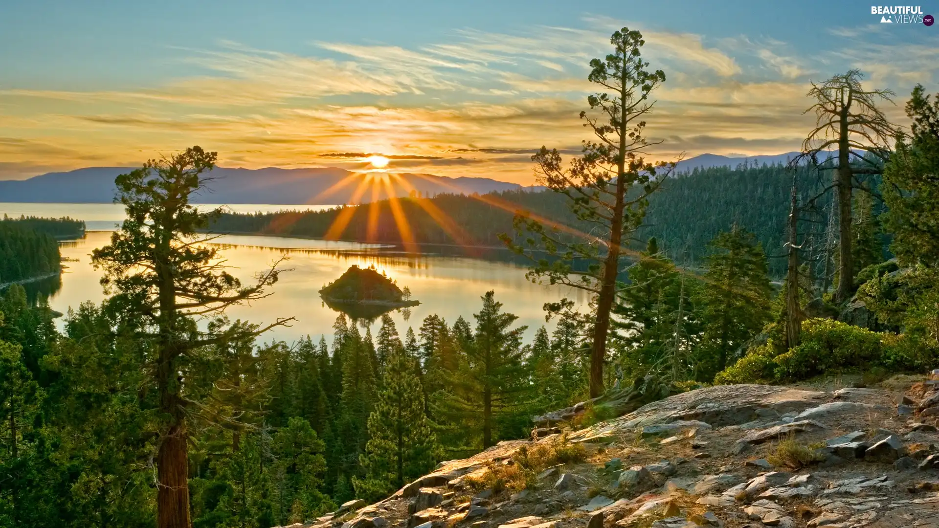 lake, rays, sun, forest