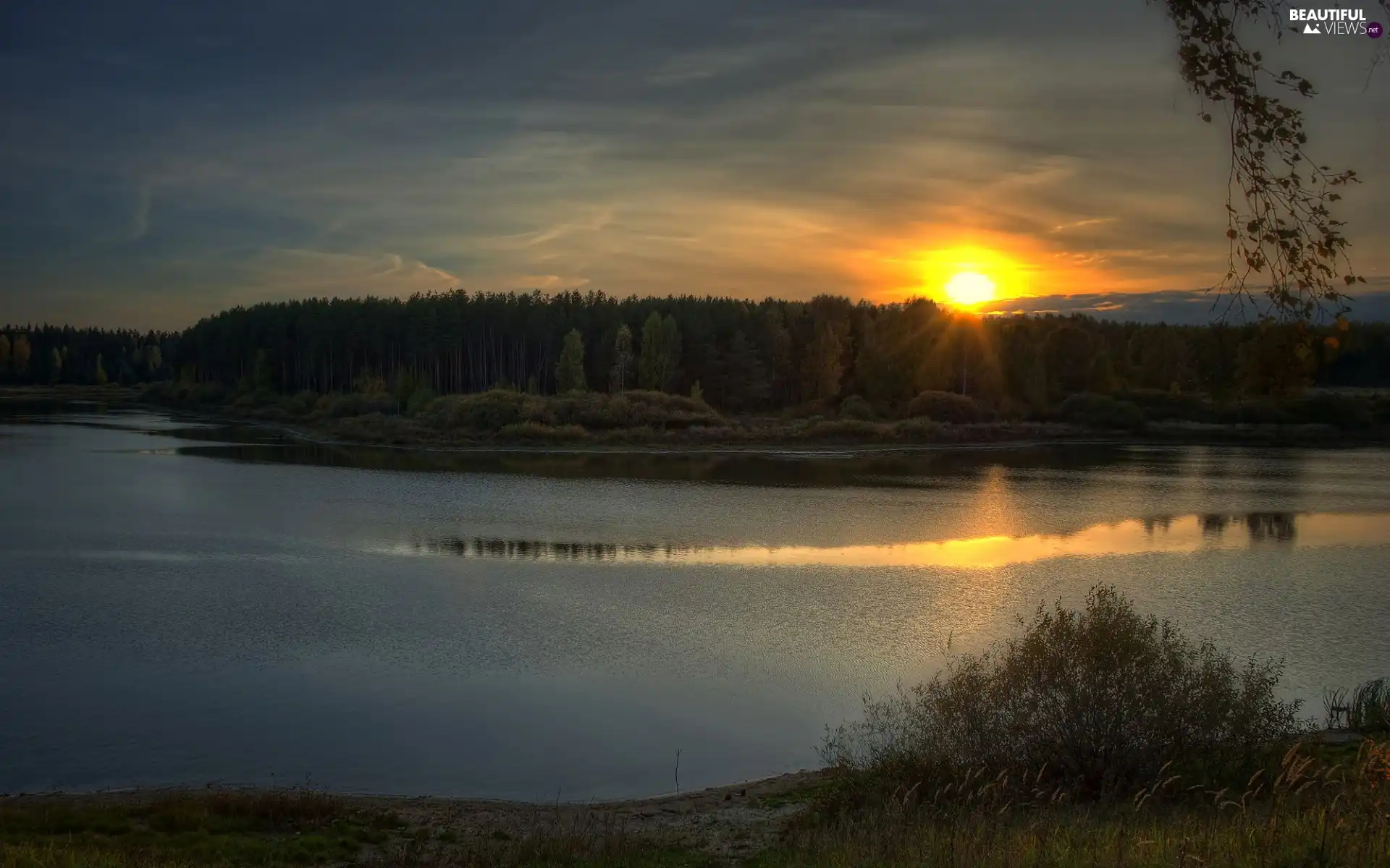 lake, rays, sun, woods