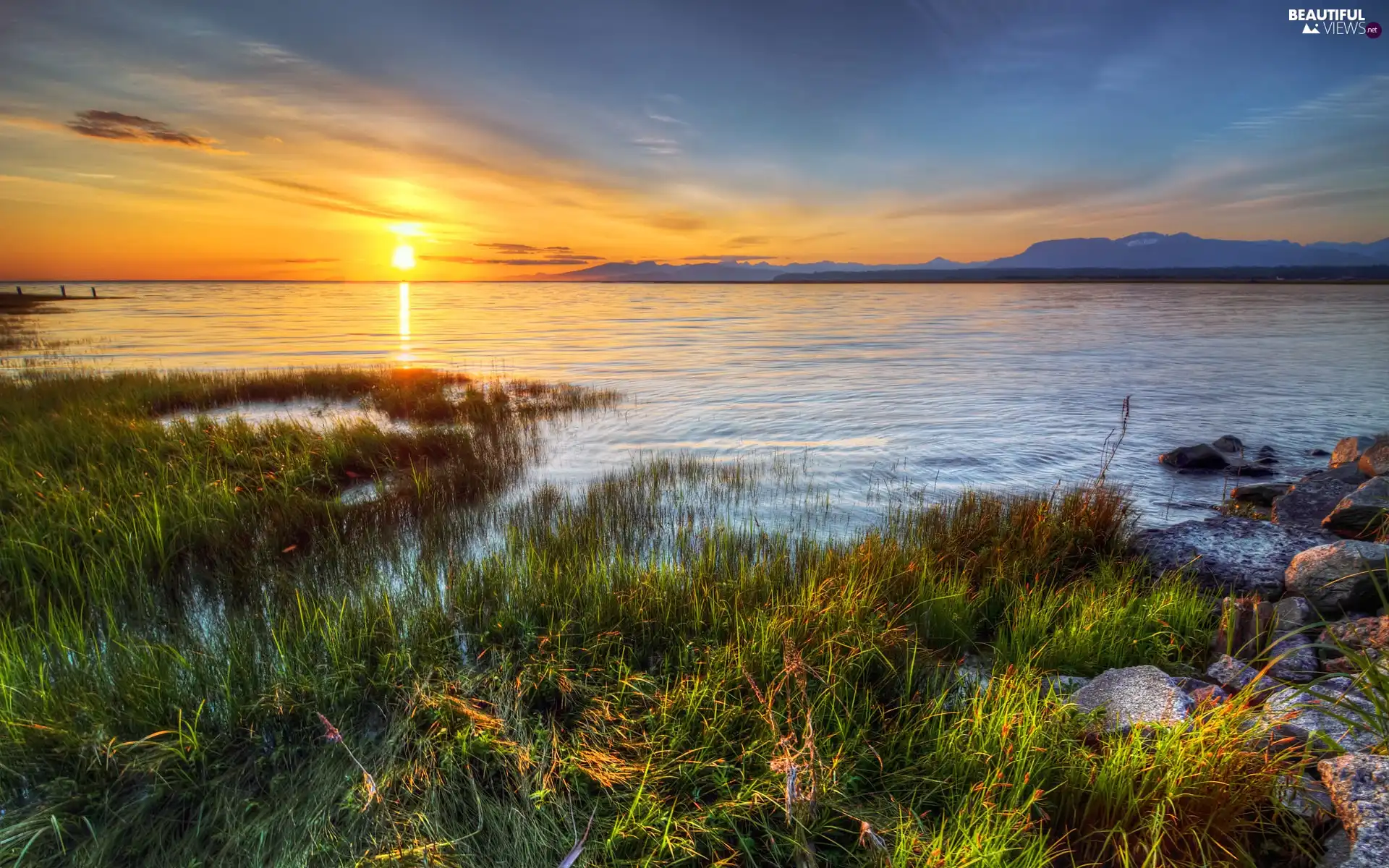 lake, west, sun, rushes