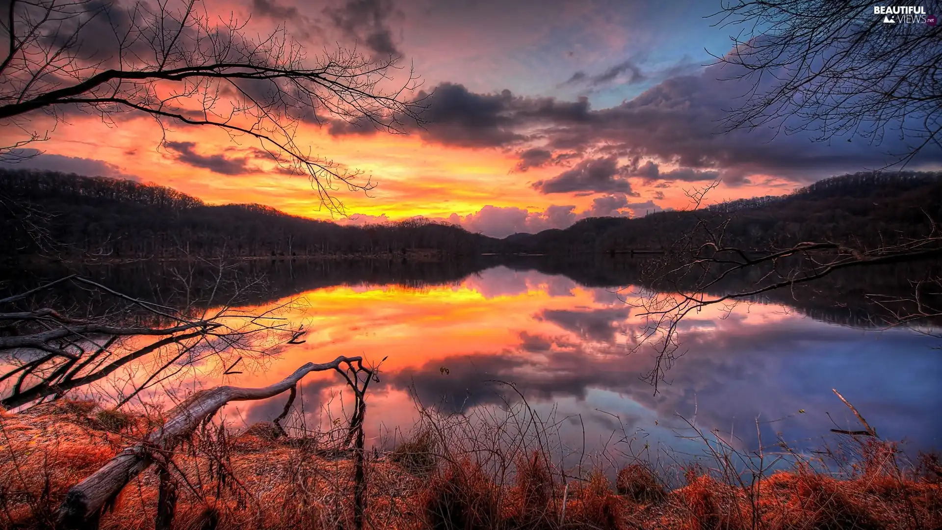 lake, west, sun, woods