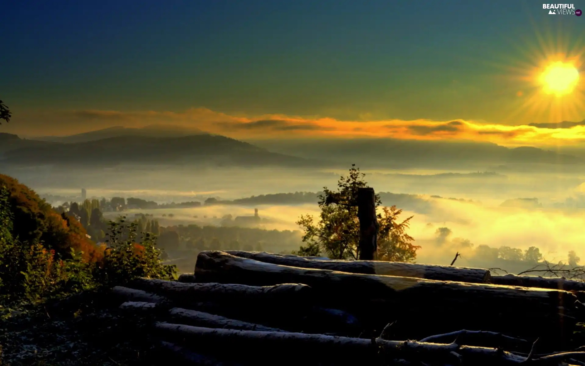 Mountains, rays, sun, forest