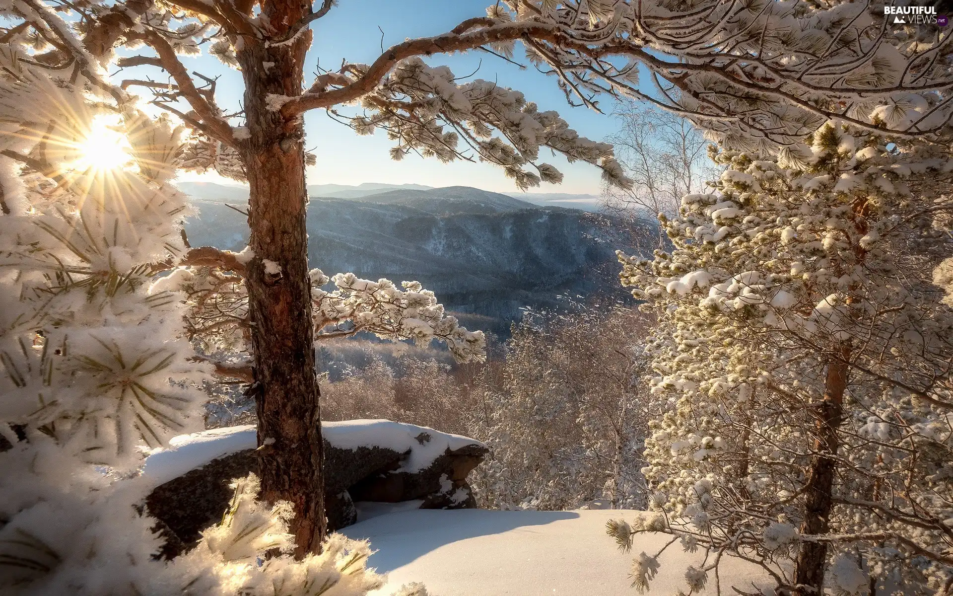 trees, winter, snow, sun, viewes, Mountains