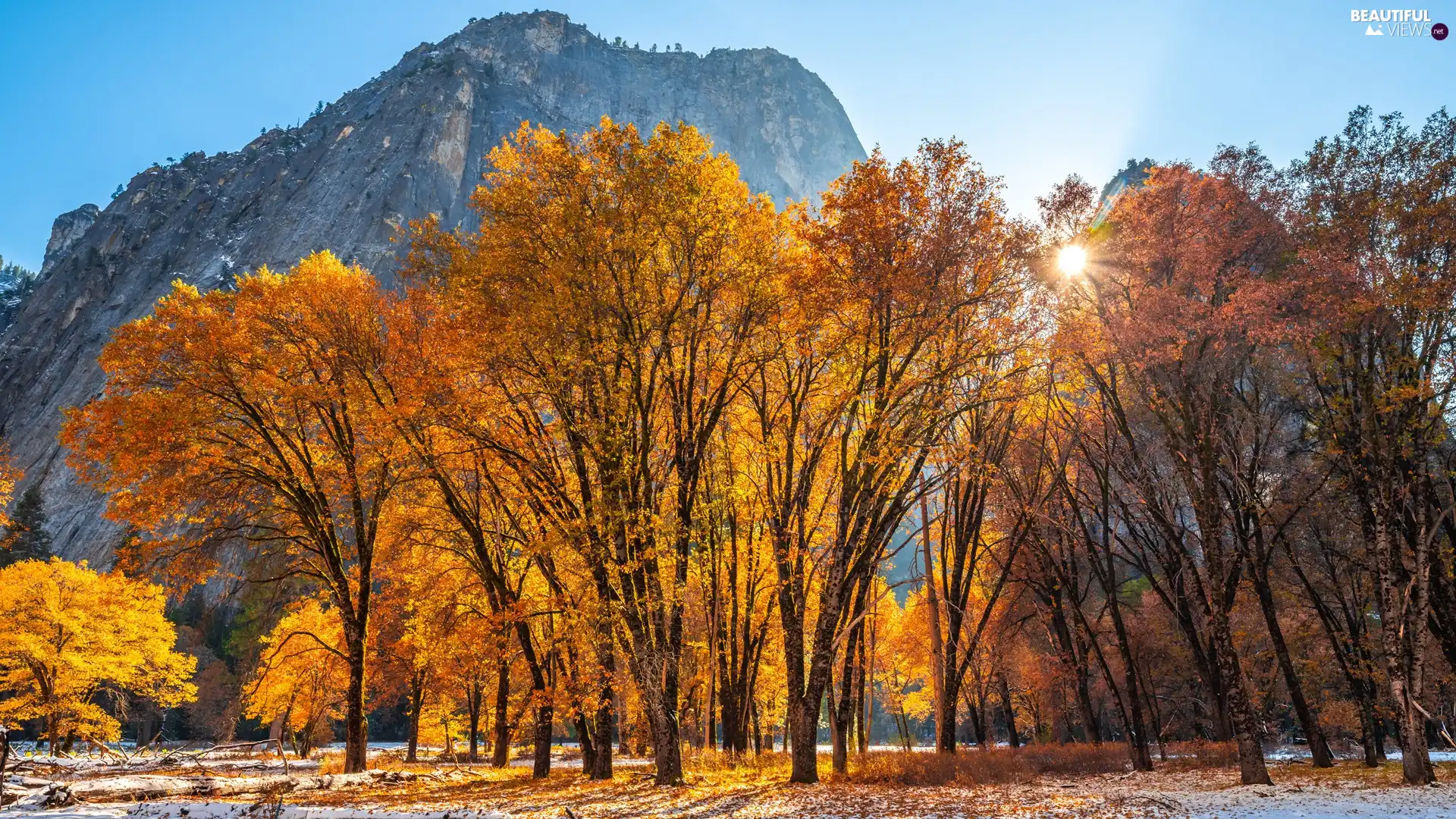 Mountains, trees, The United States, viewes, State of California, Yosemite National Park, autumn, rays of the Sun