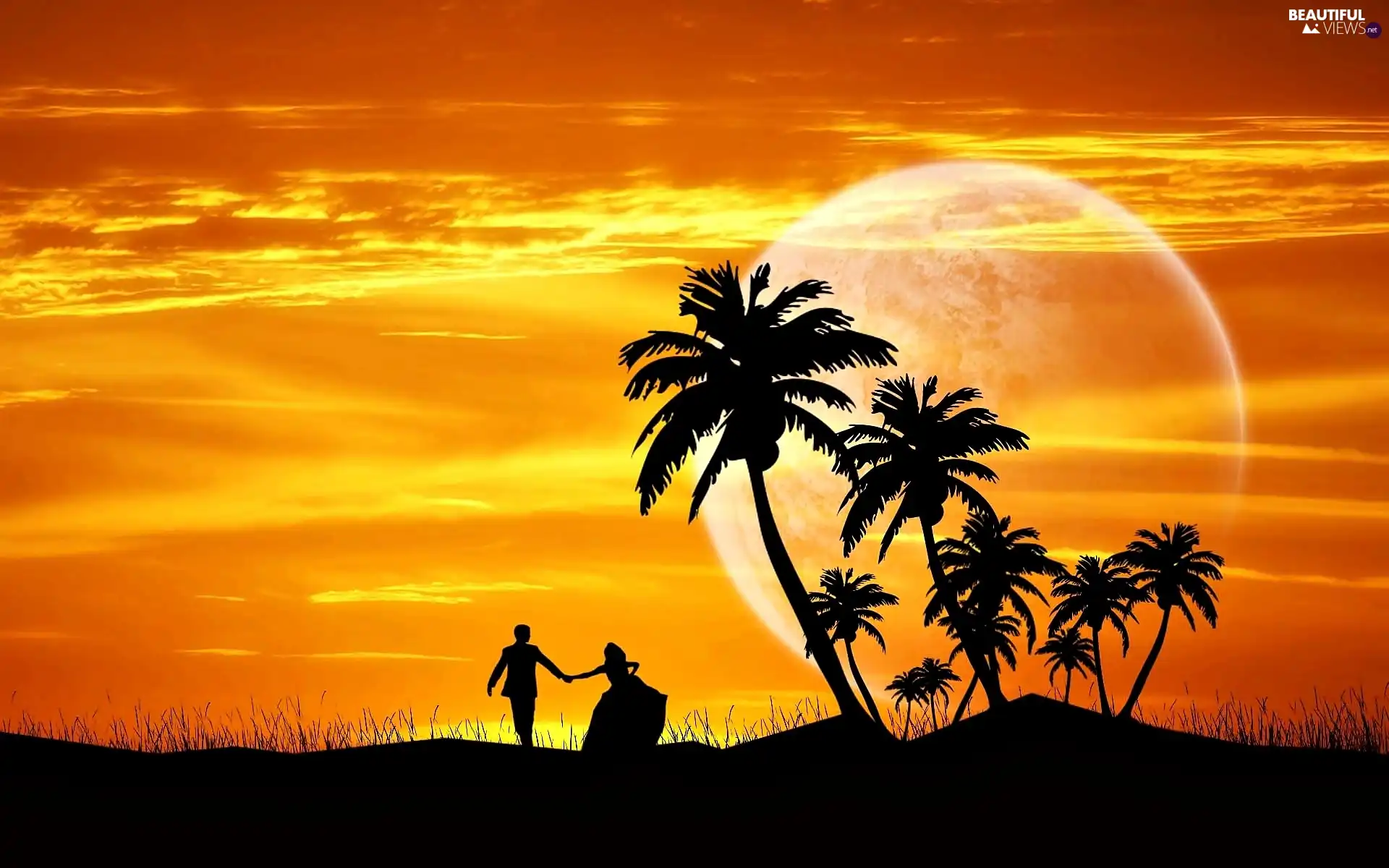 Sky, graphics, sun, Palms, west, lovers