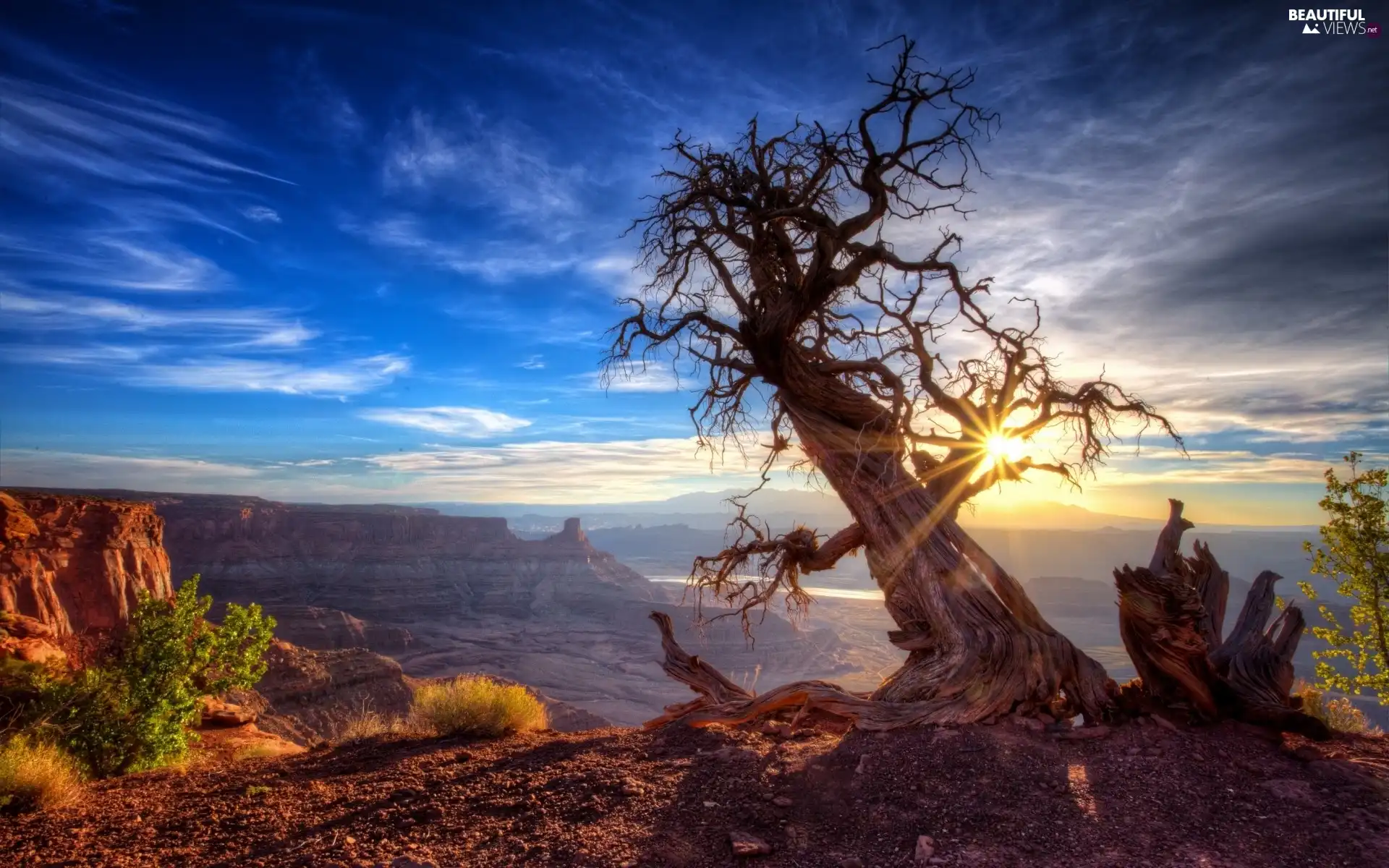 sun, rays, trees, west, canyon