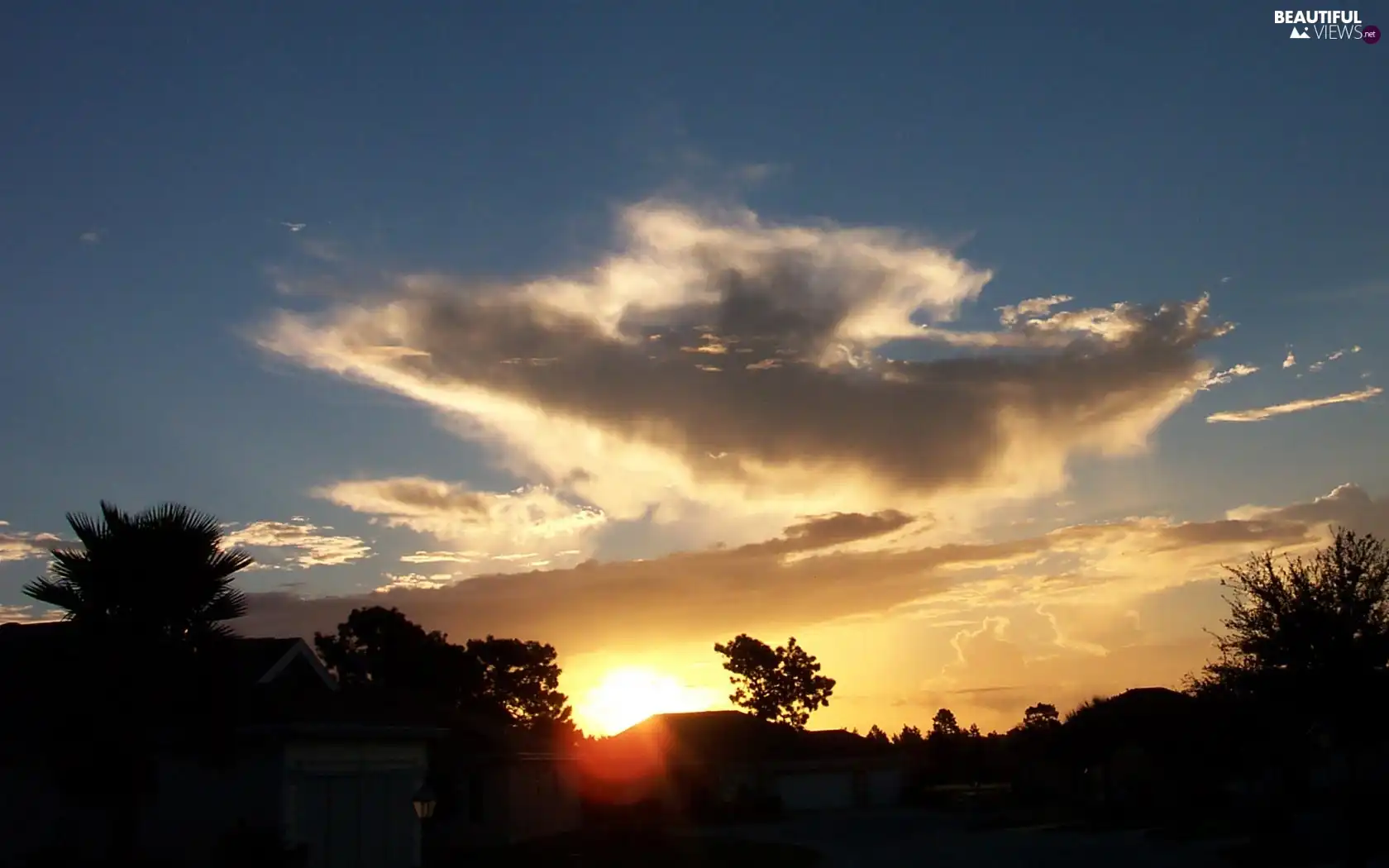 clouds, trees, sun, rays, west, viewes