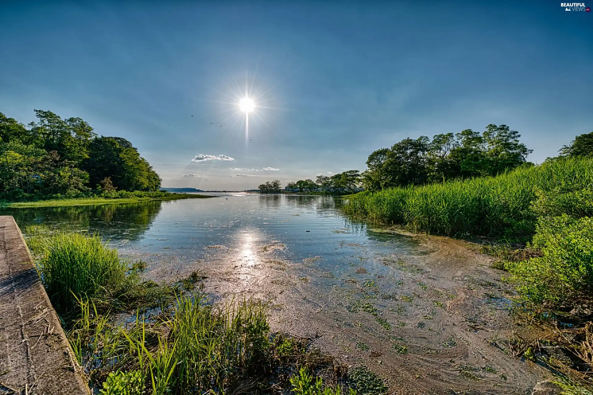 River, rays, sun, summer