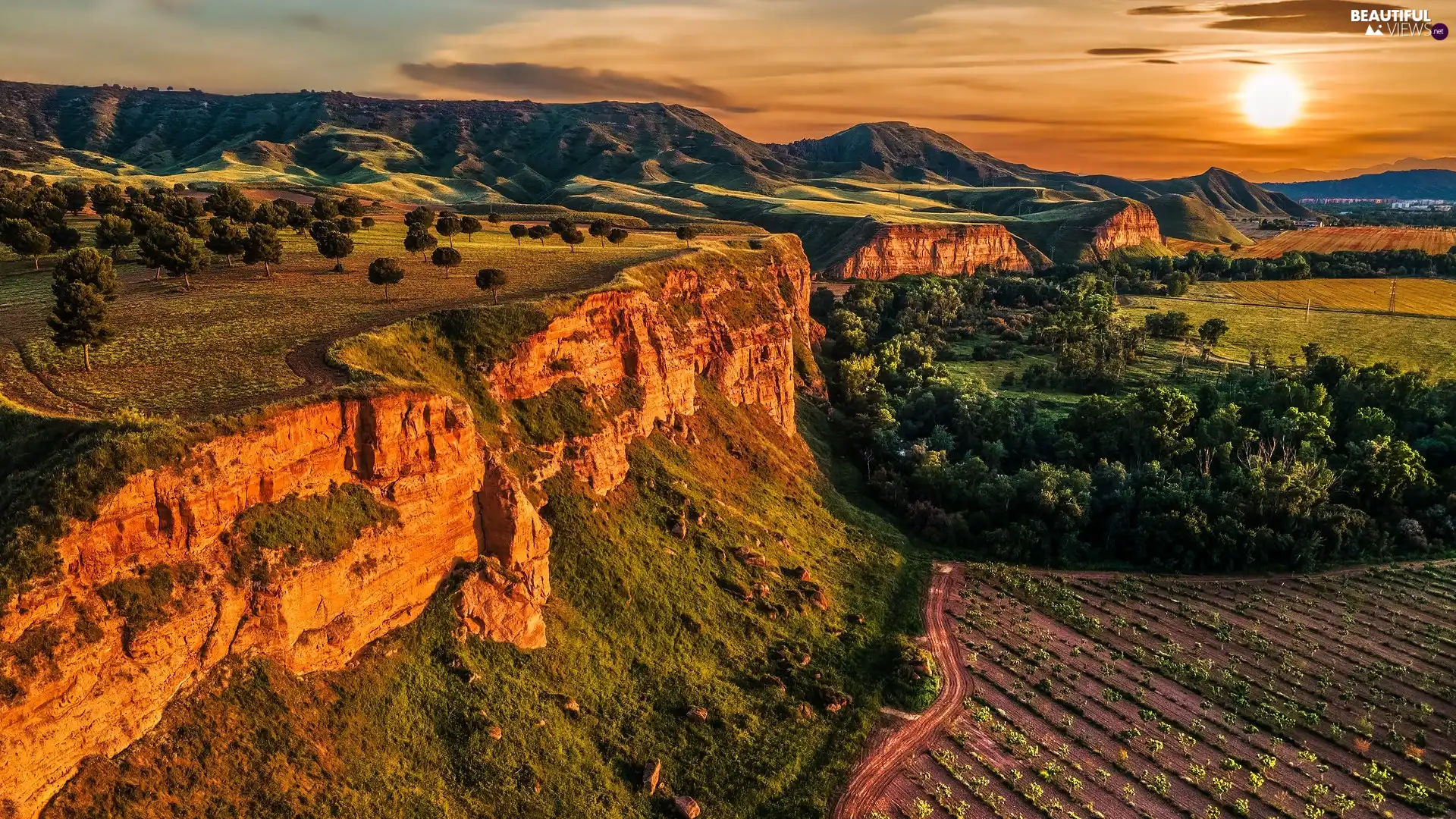 trees, Mountains, Field, sun, viewes, rocks