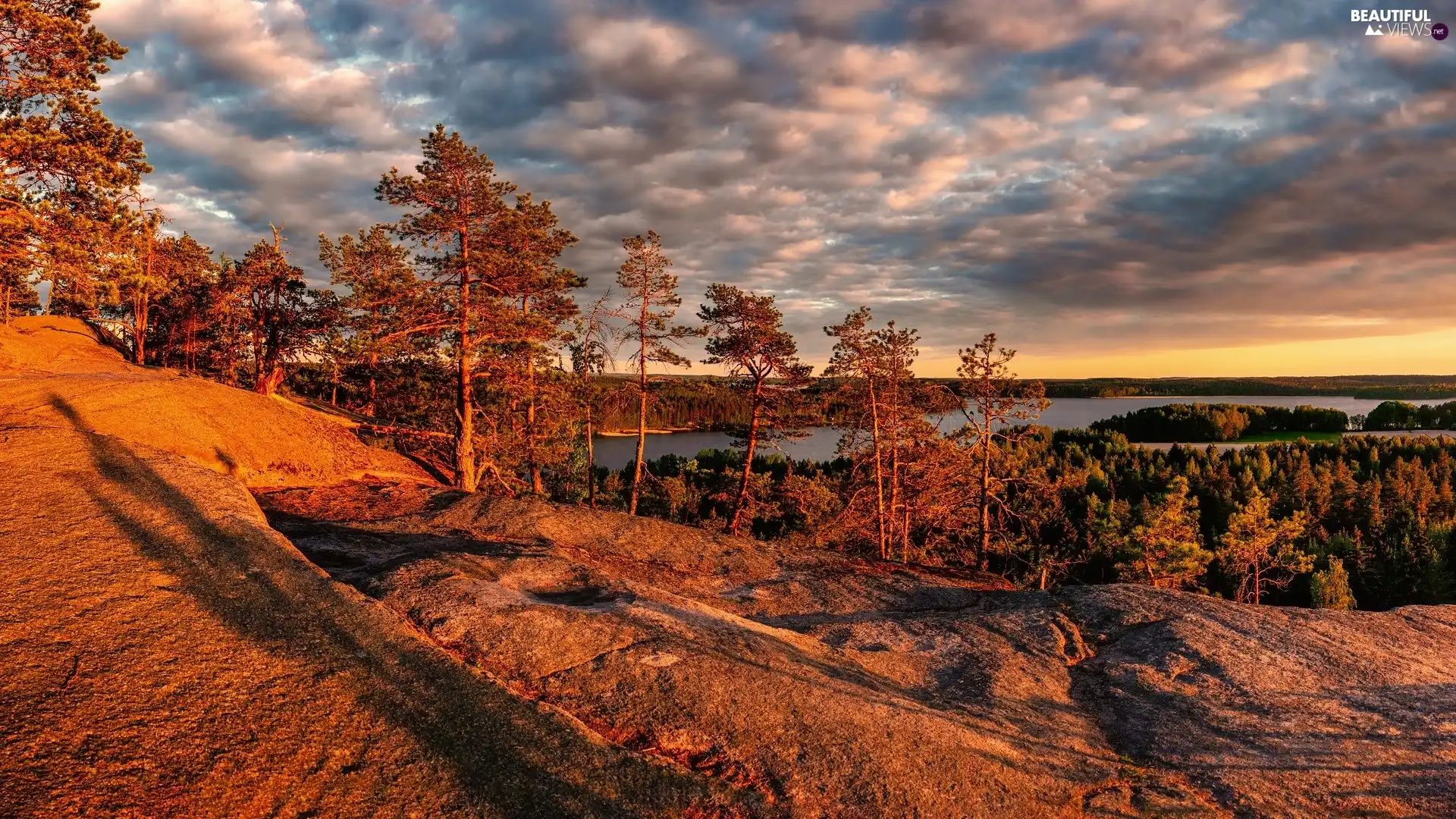 trees, lake, glamour, sun, viewes, scarp