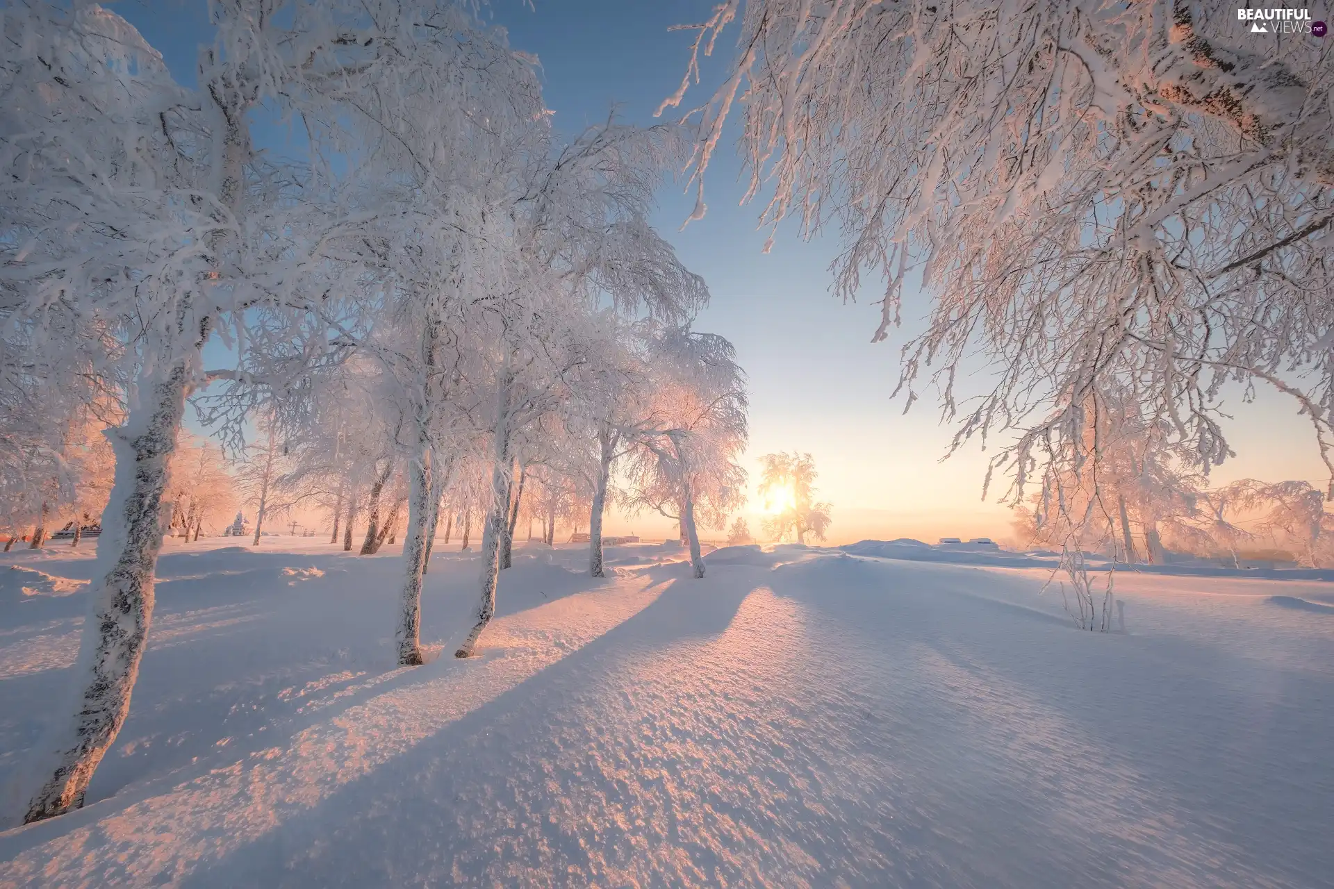 Snowy, winter, viewes, sun, trees, snow