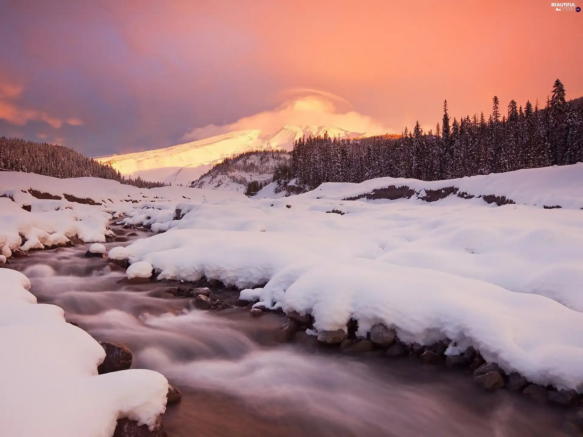 sun, snow, brook, west, woods