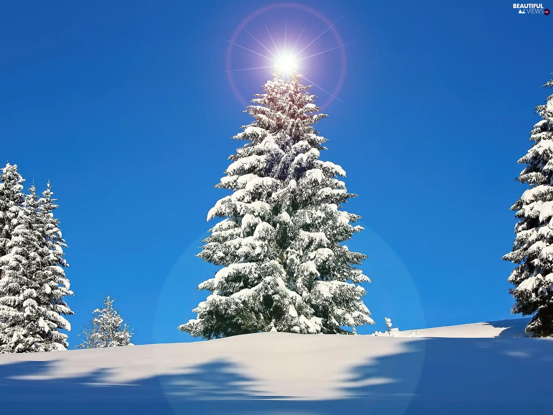 Snowy, Sky, sun, Christmas