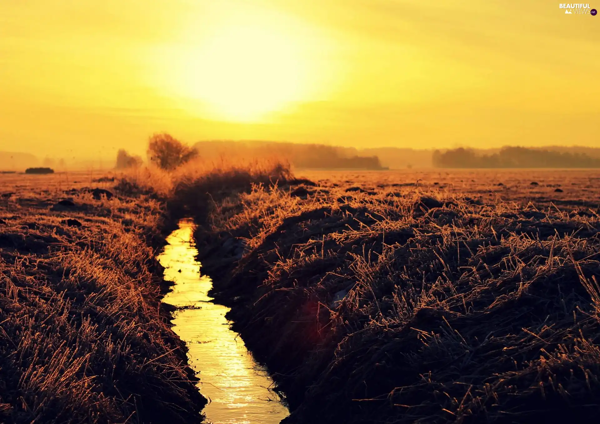 sun, Field, stream