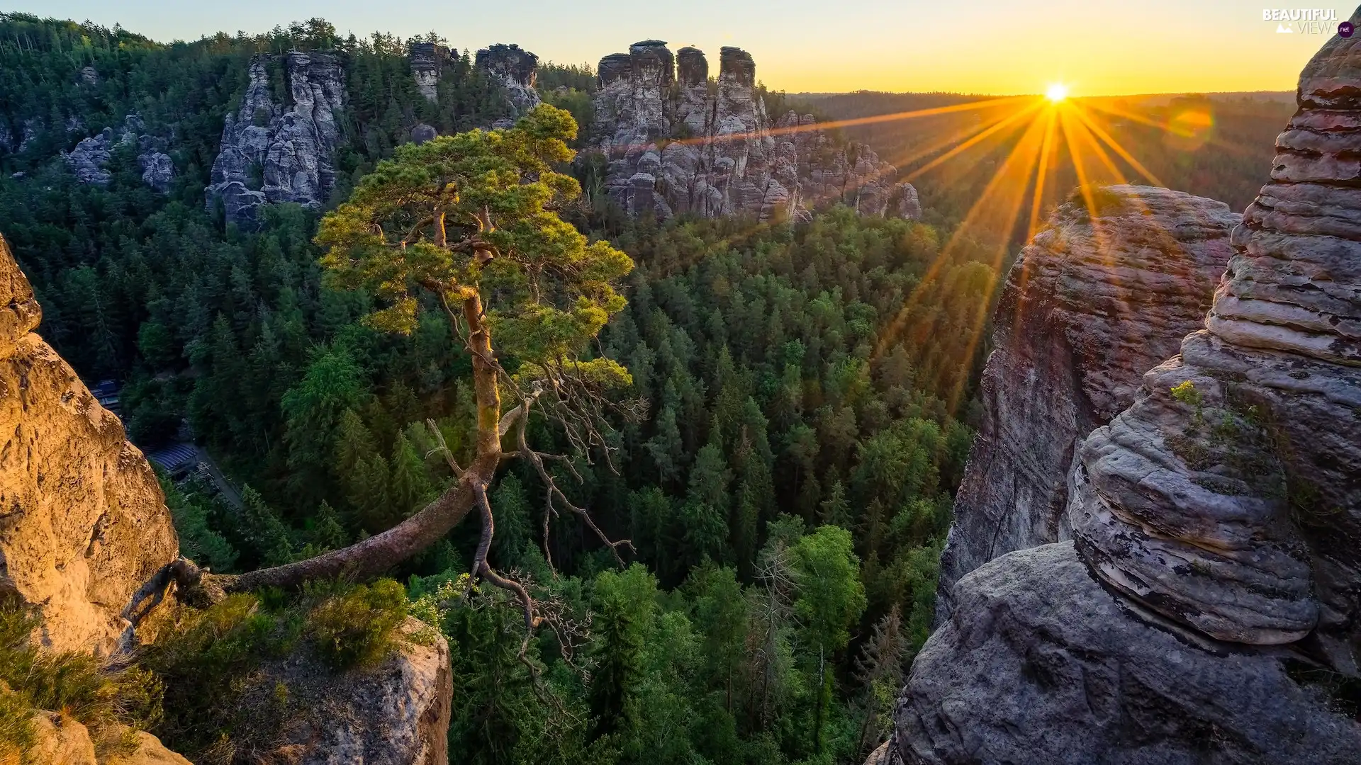 Děčínská vrchovina, rocks, rays of the Sun, pine, Sunrise, Saxon Switzerland National Park, Germany