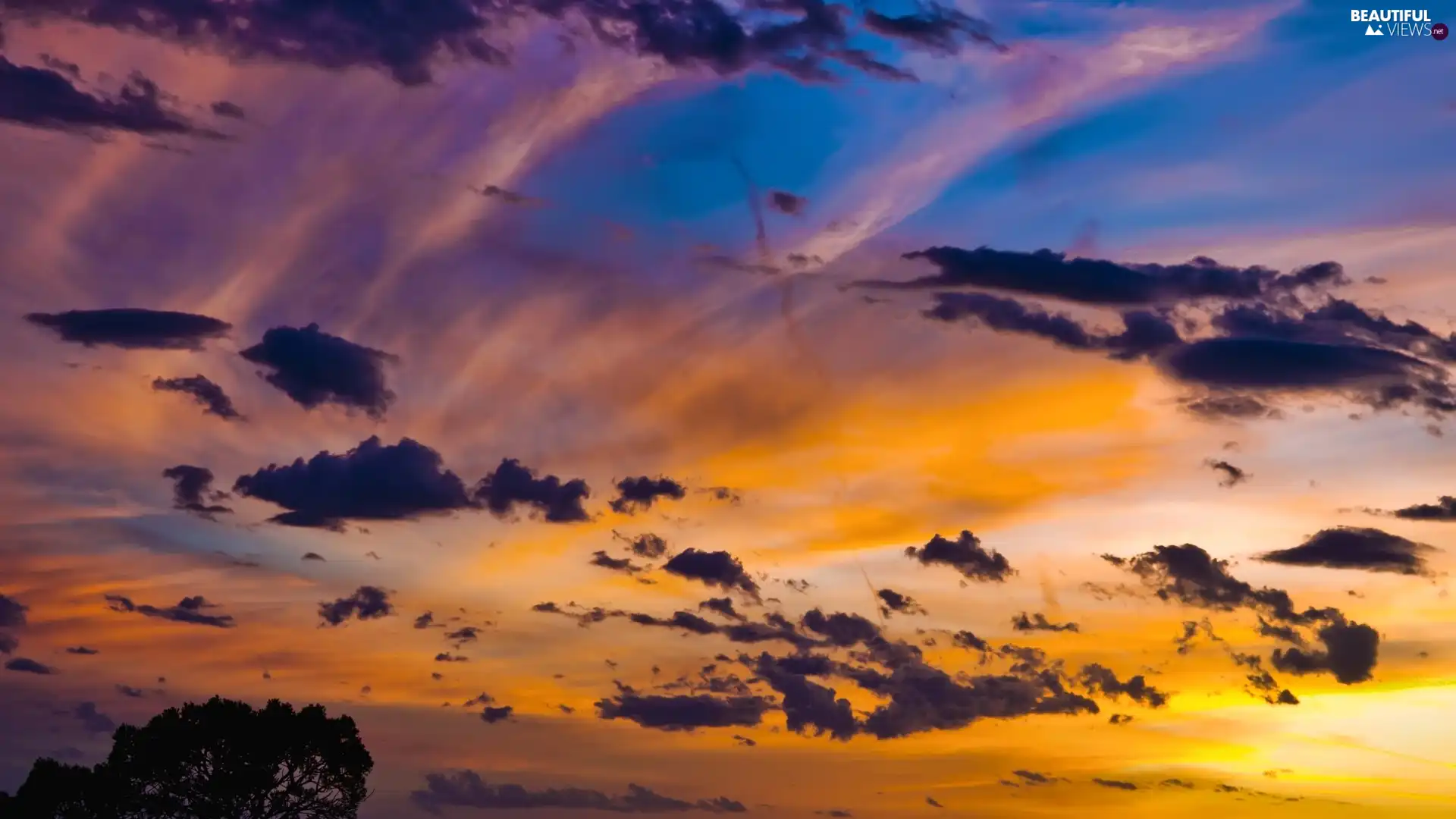 sun, trees, clouds, west, Sky