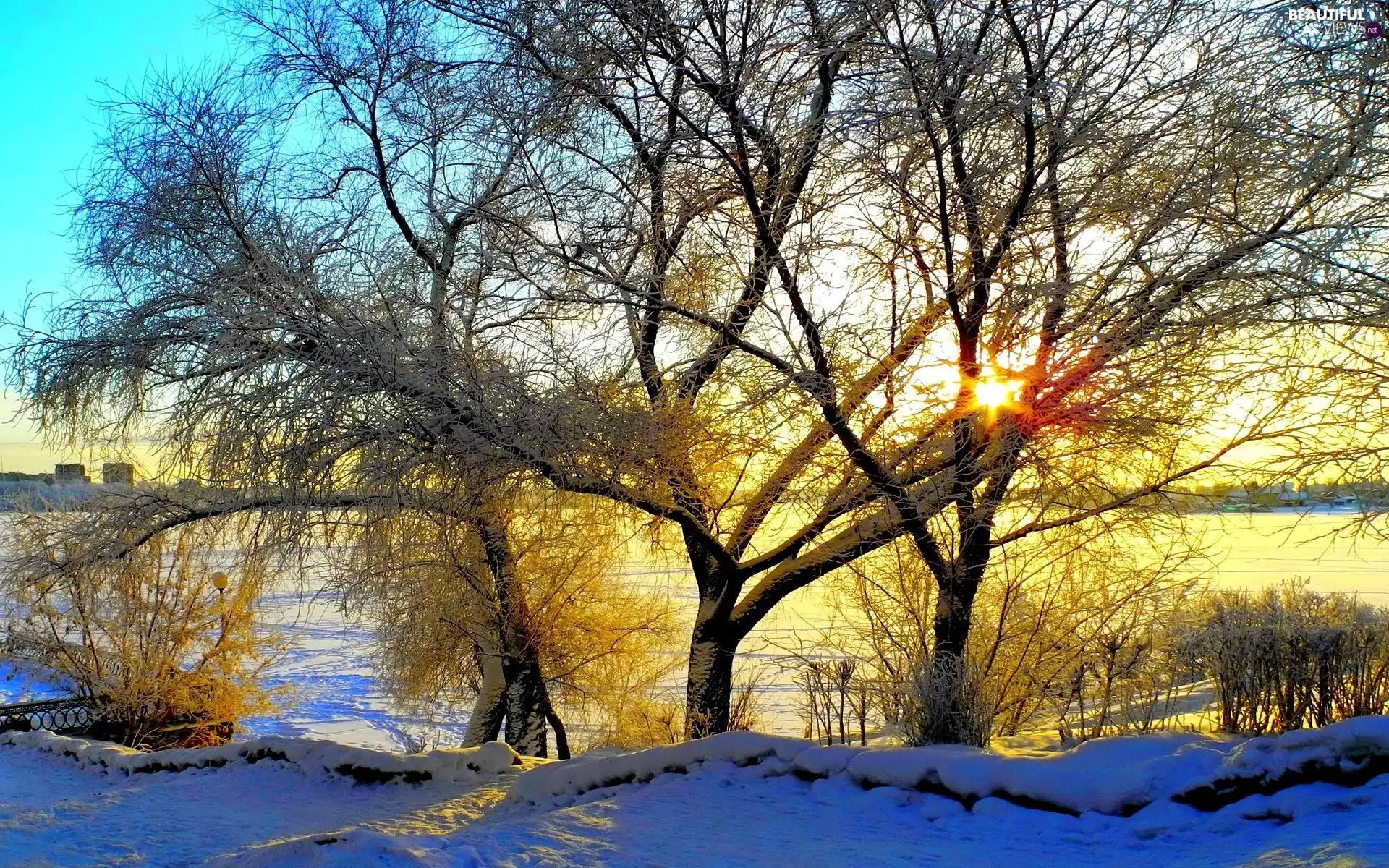 viewes, River, sun, winter, rays, trees