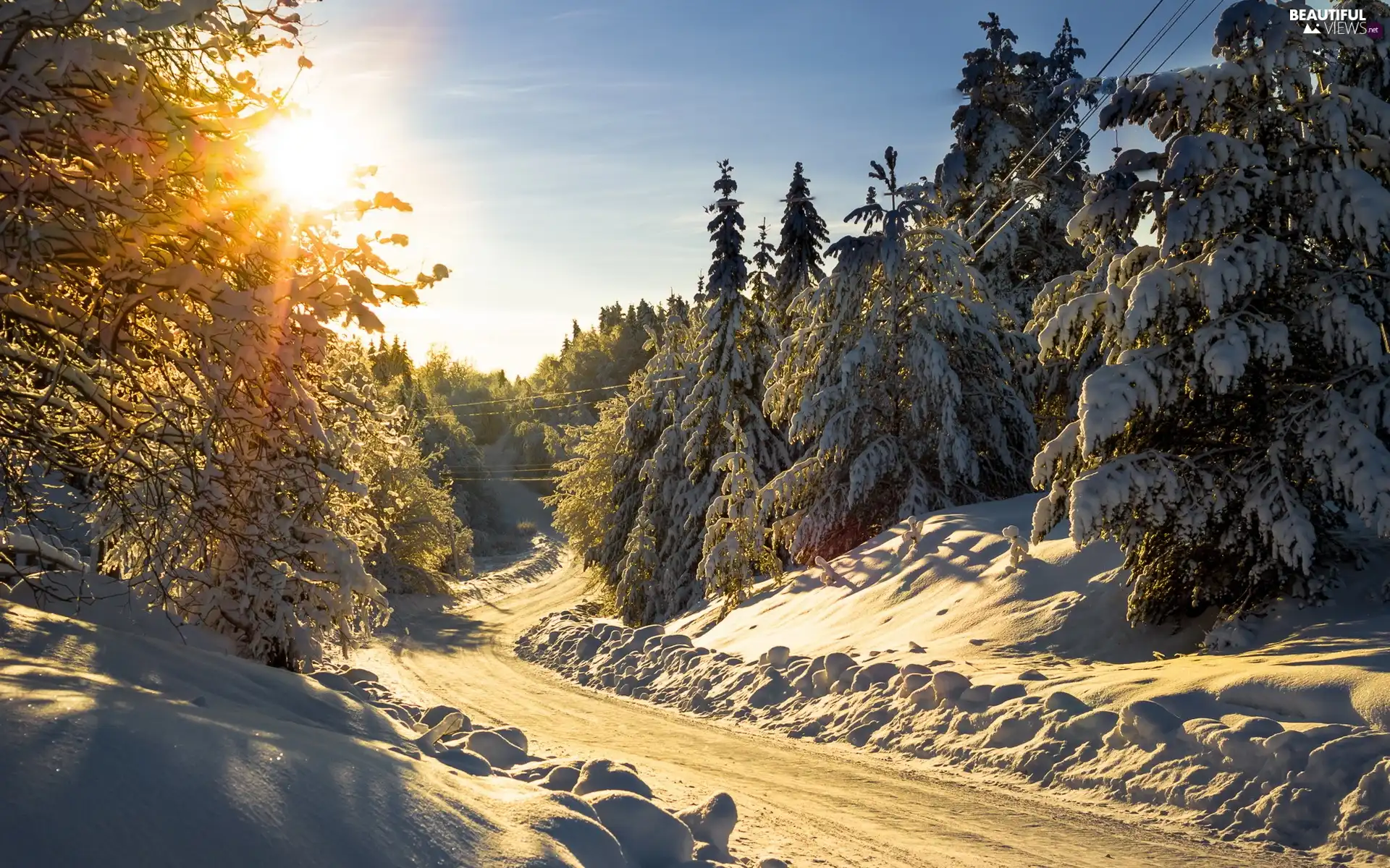 sun, winter, forest, rays, Way