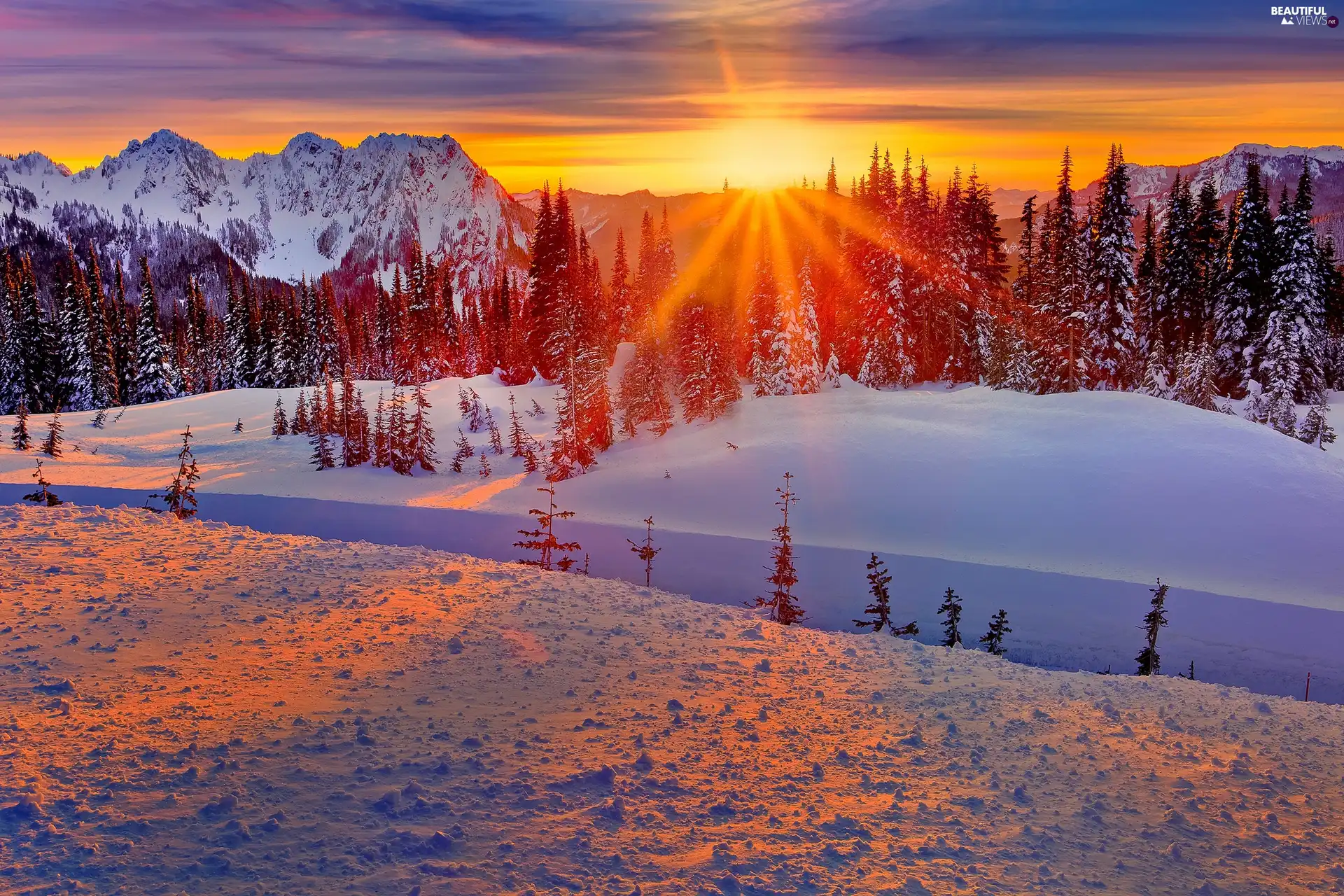 viewes, Mountains, sun, winter, west, trees