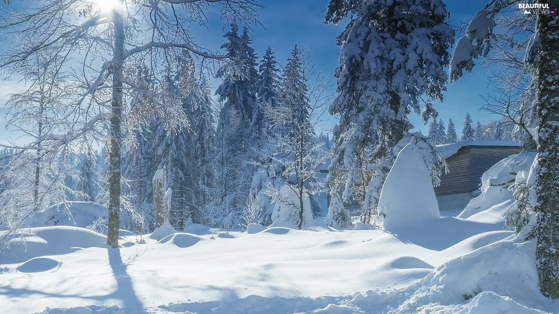 viewes, Wooden, winter, cottage, day, trees, snow, sunny