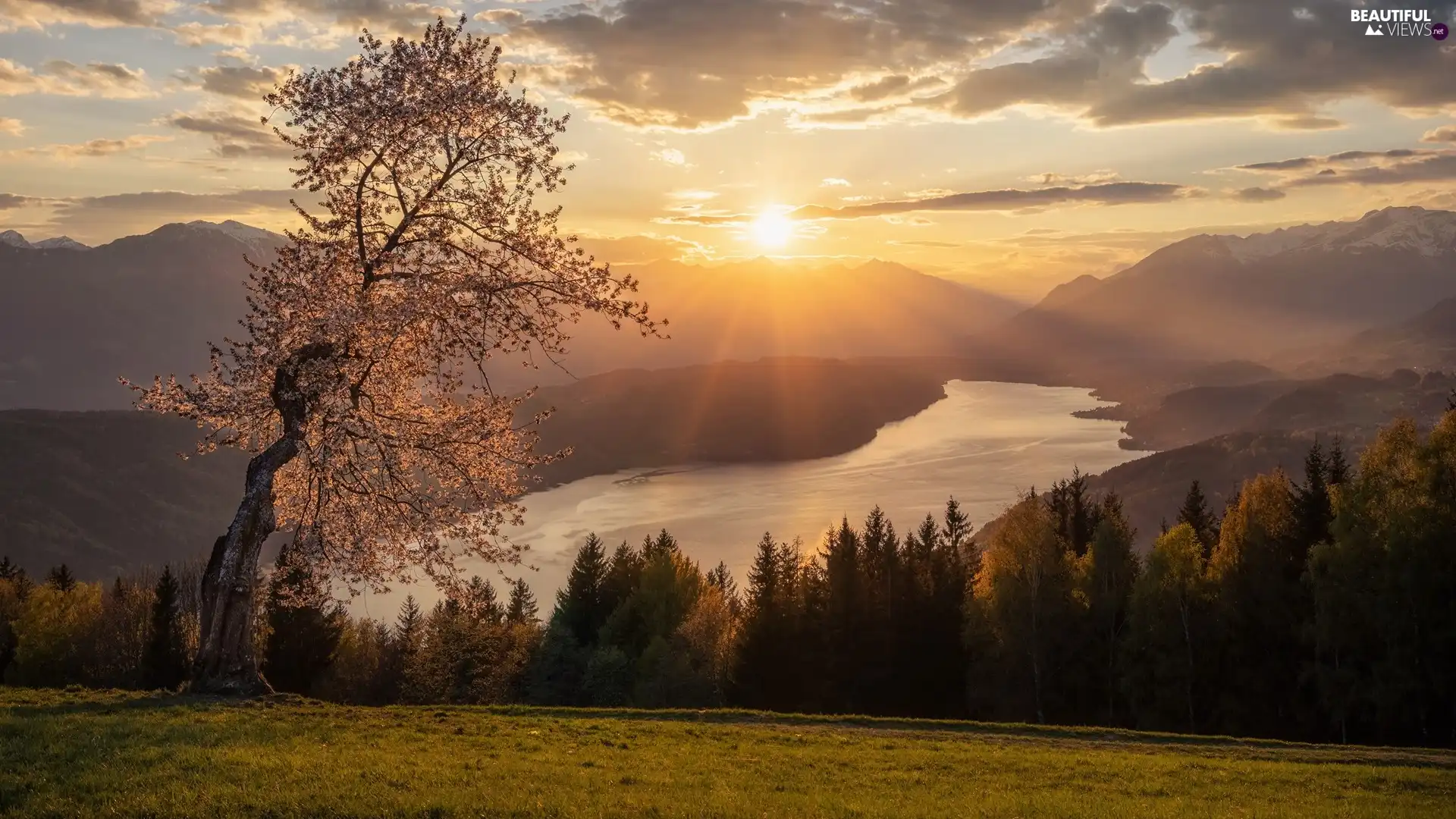 forest, trees, clouds, viewes, Fog, lake, Mountains, Sunrise