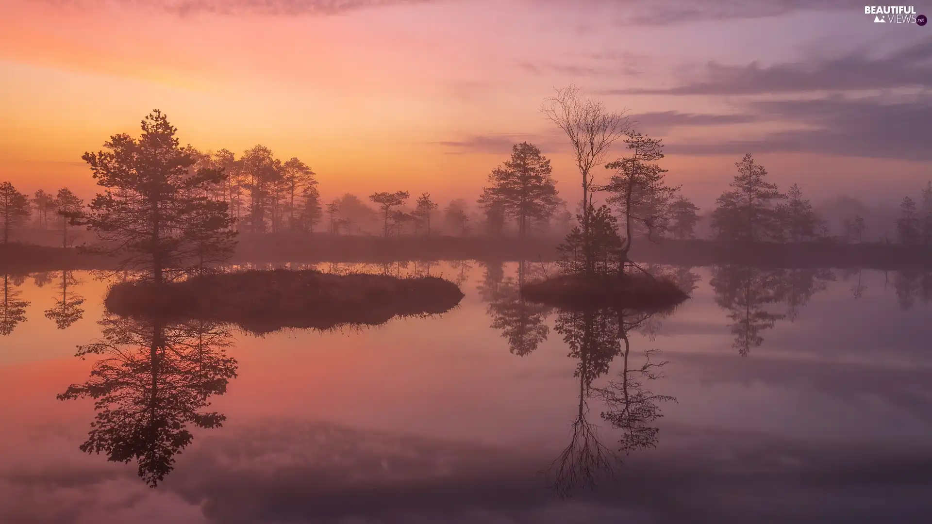 Trees Lake Morning Sunrise Viewes Fog Beautiful Views Wallpapers