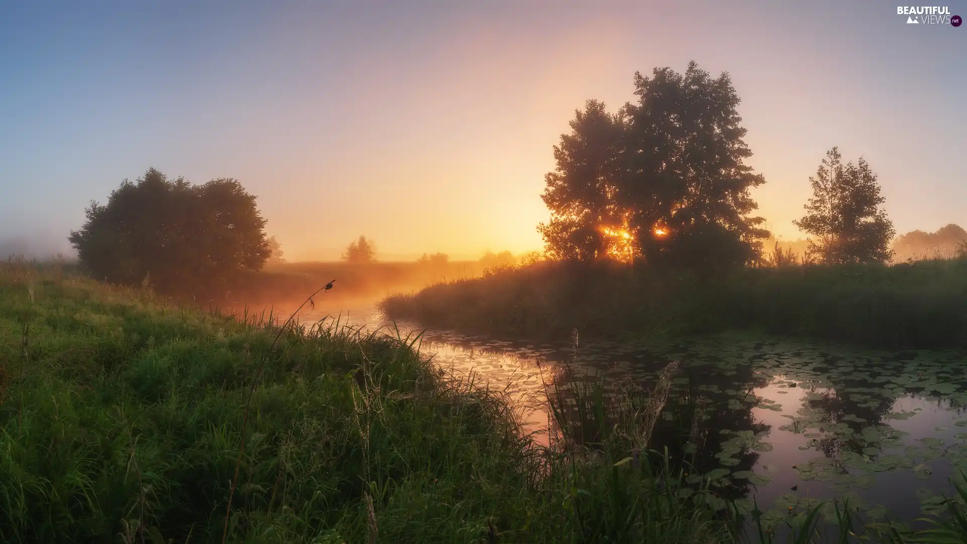 Meadow, River, viewes, Sunrise, trees, Fog