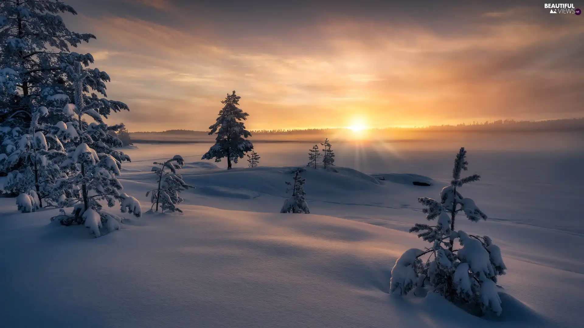 Snowy, winter, viewes, Sunrise, trees, Fog