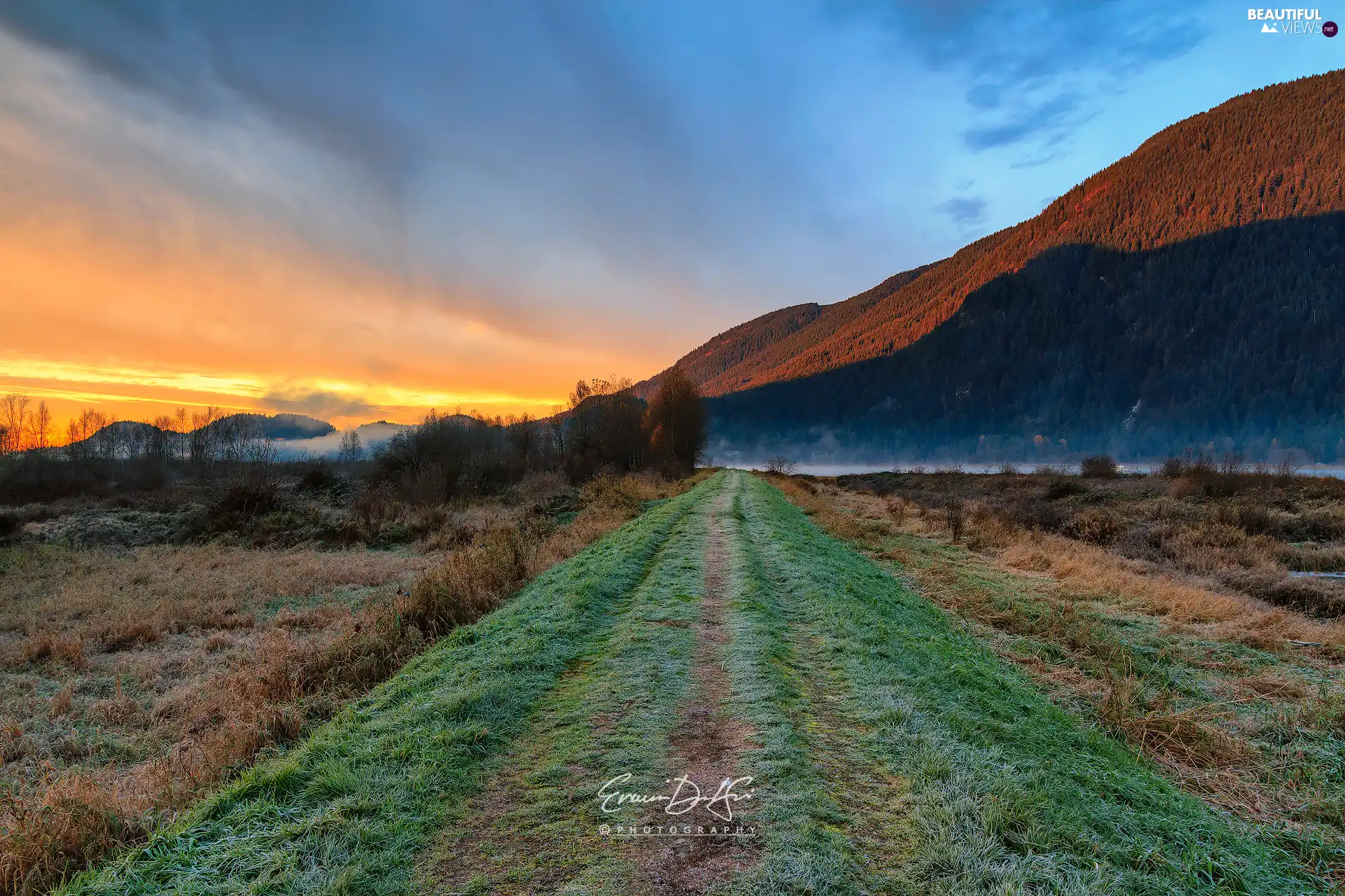 trees, Mountains, Way, Sunrise, viewes, lake