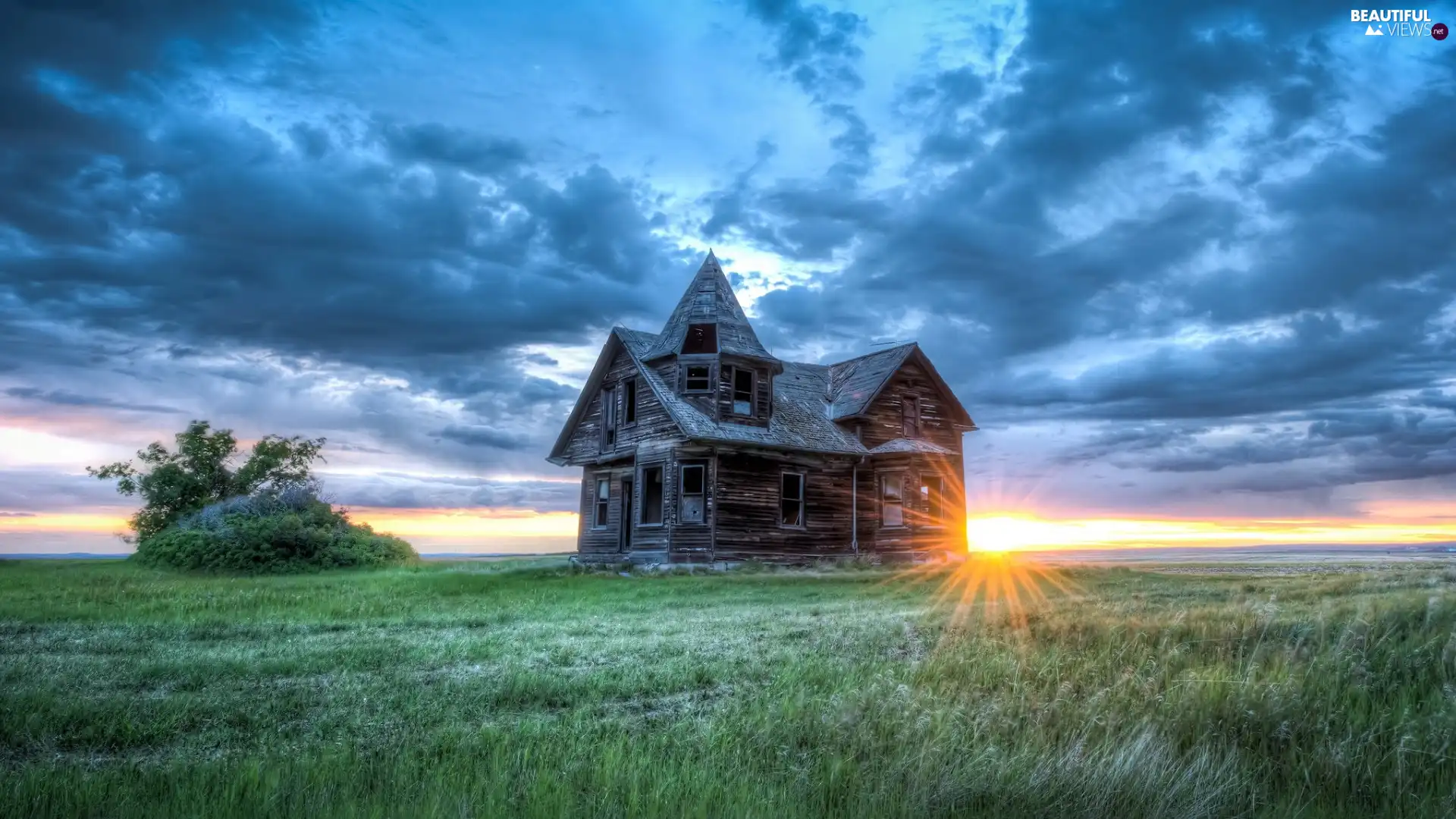 trees, rays of the Sun, Field, house, Sunrise